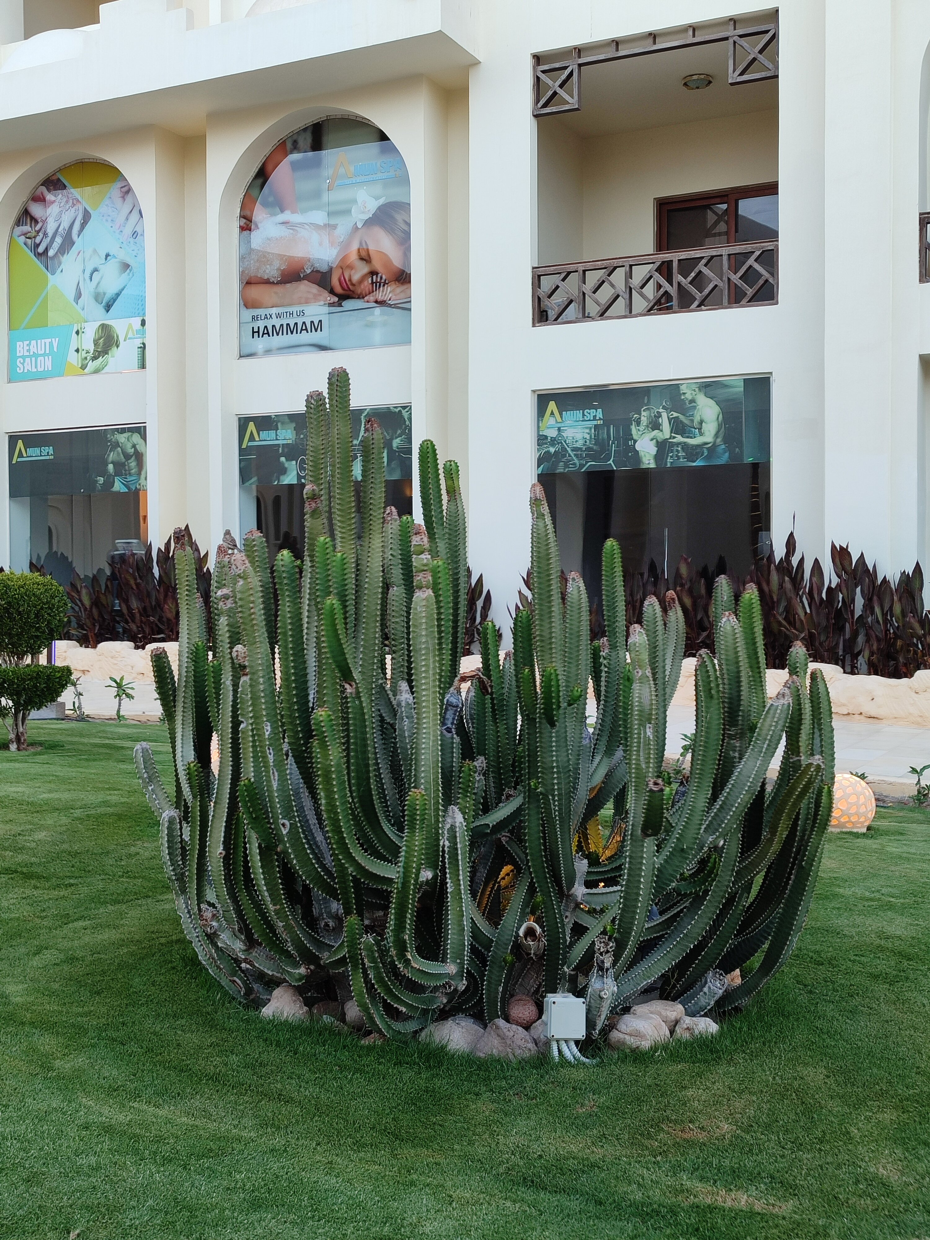 Фото Gravity Hotel & Aqua Park Sahl Hasheesh