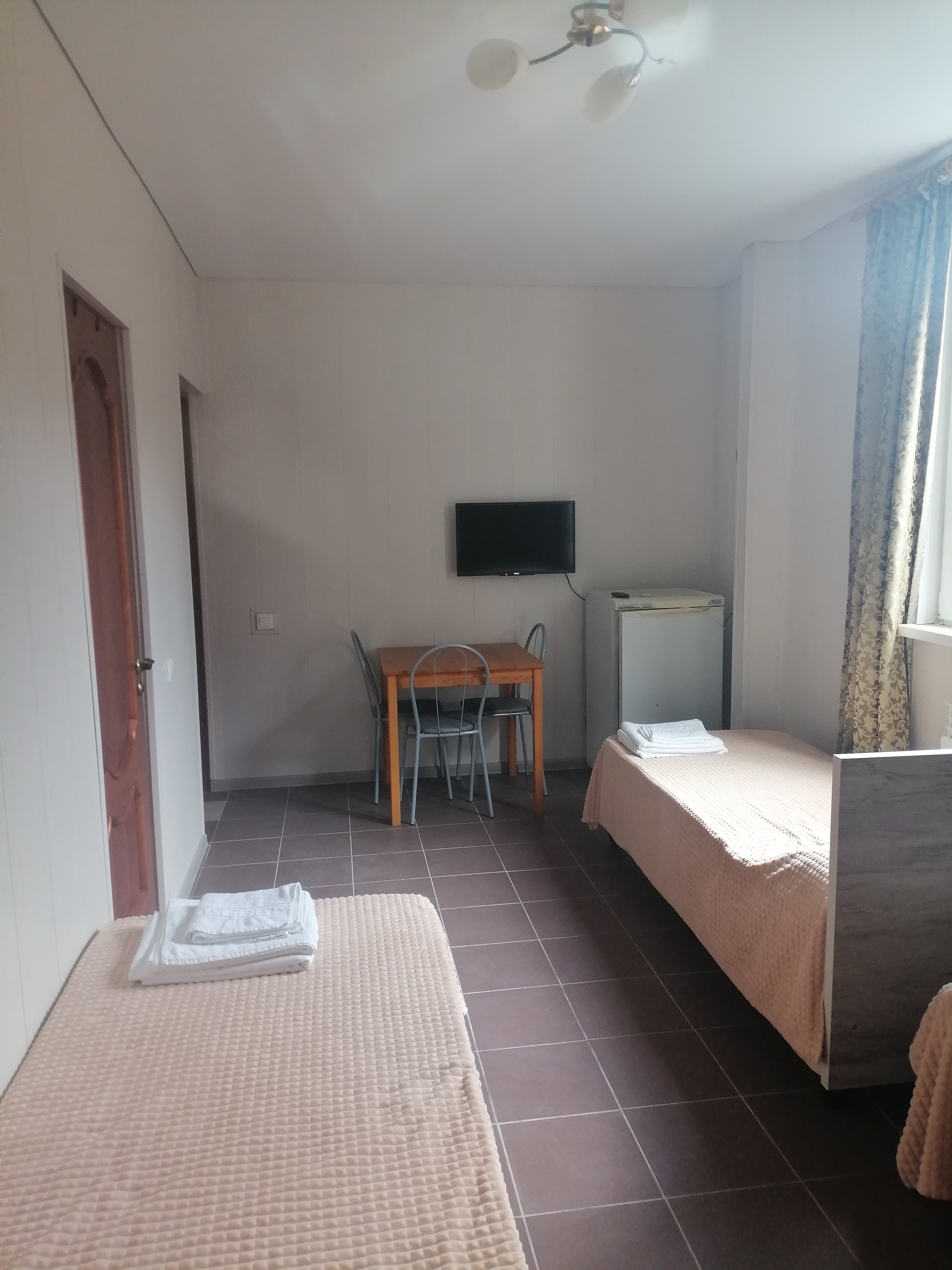 Фото Дельфин