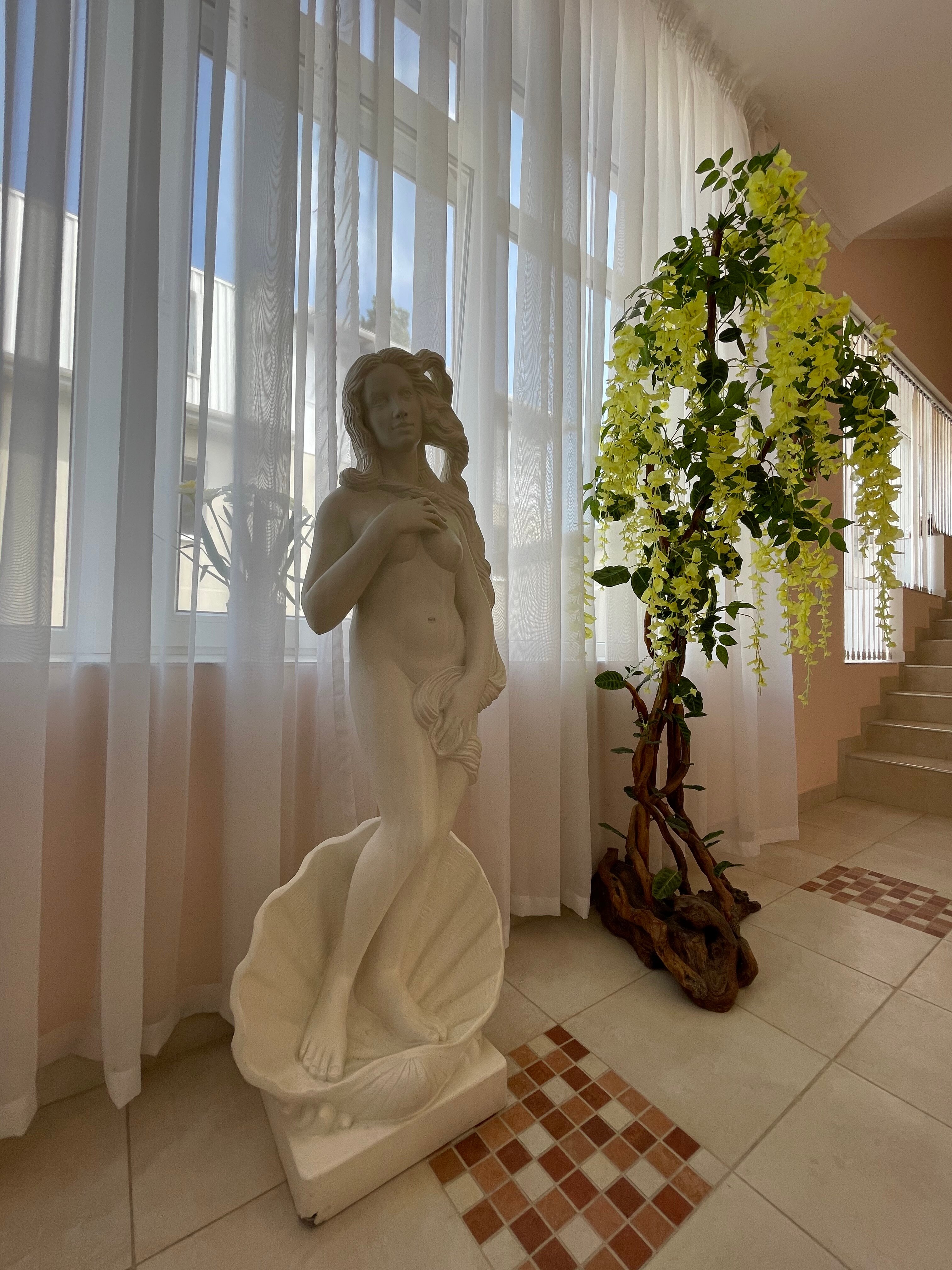 Фото Агрия Джем