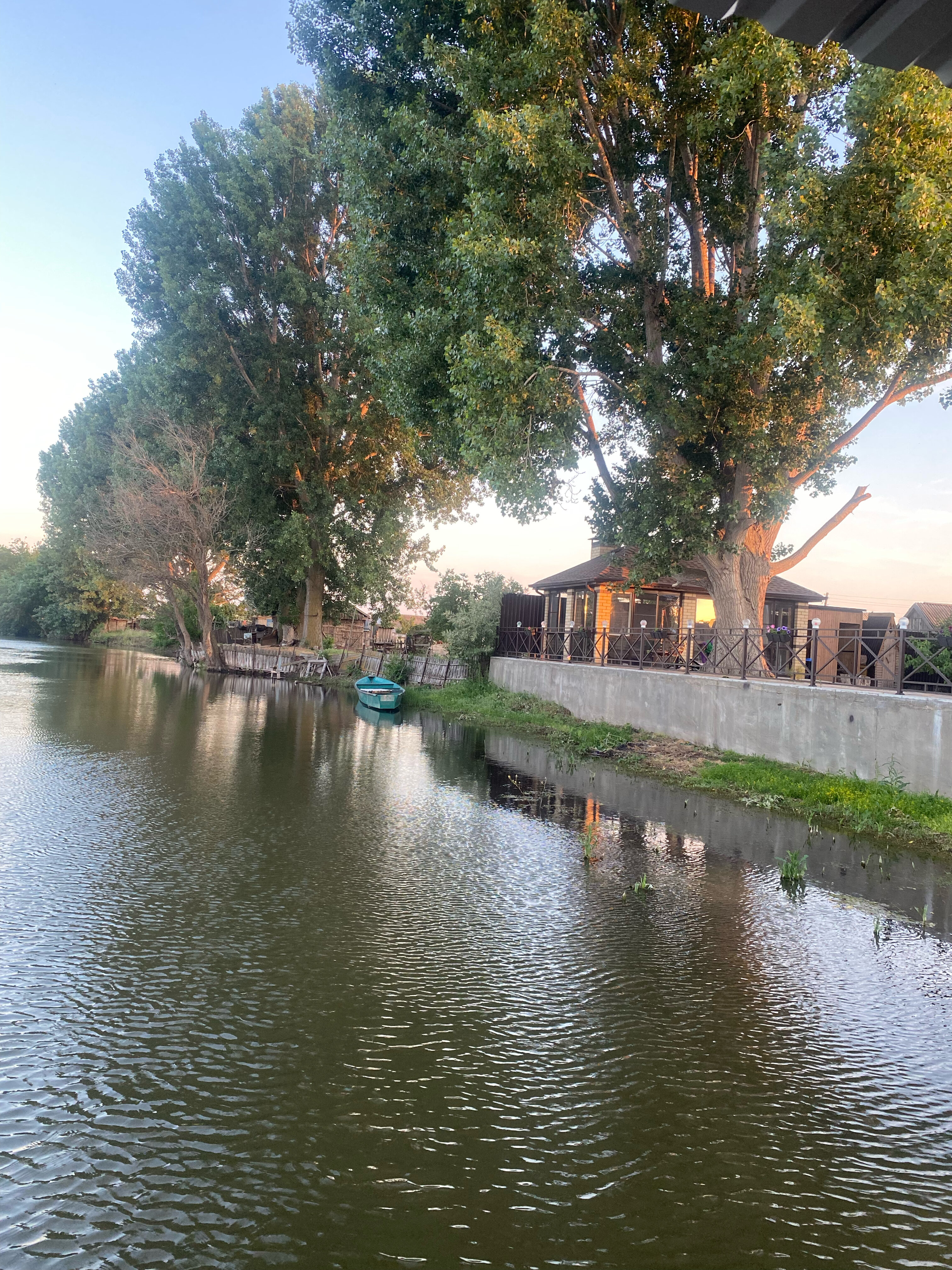 Фото Тополь - Эм