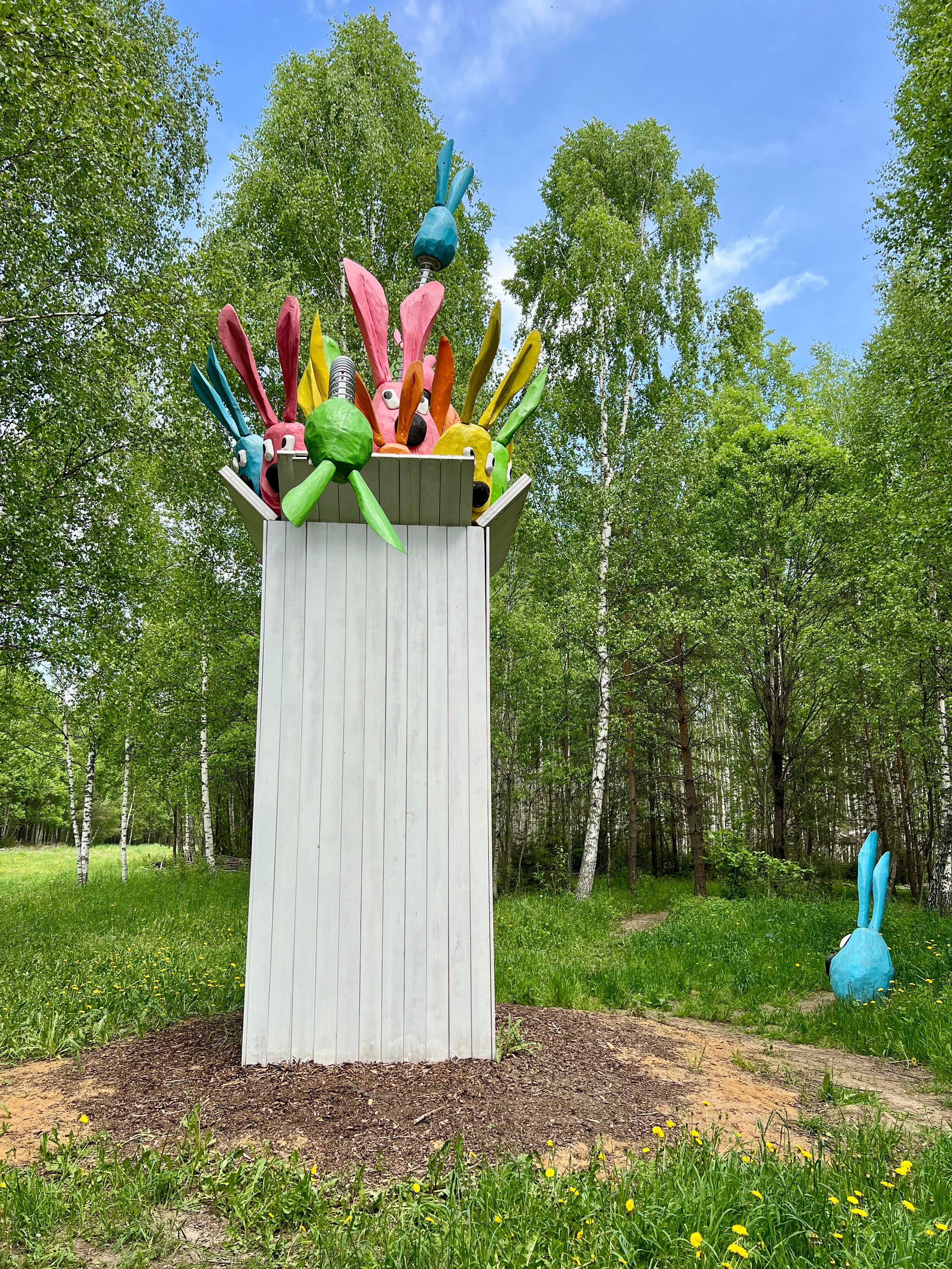 Фото Лаванда