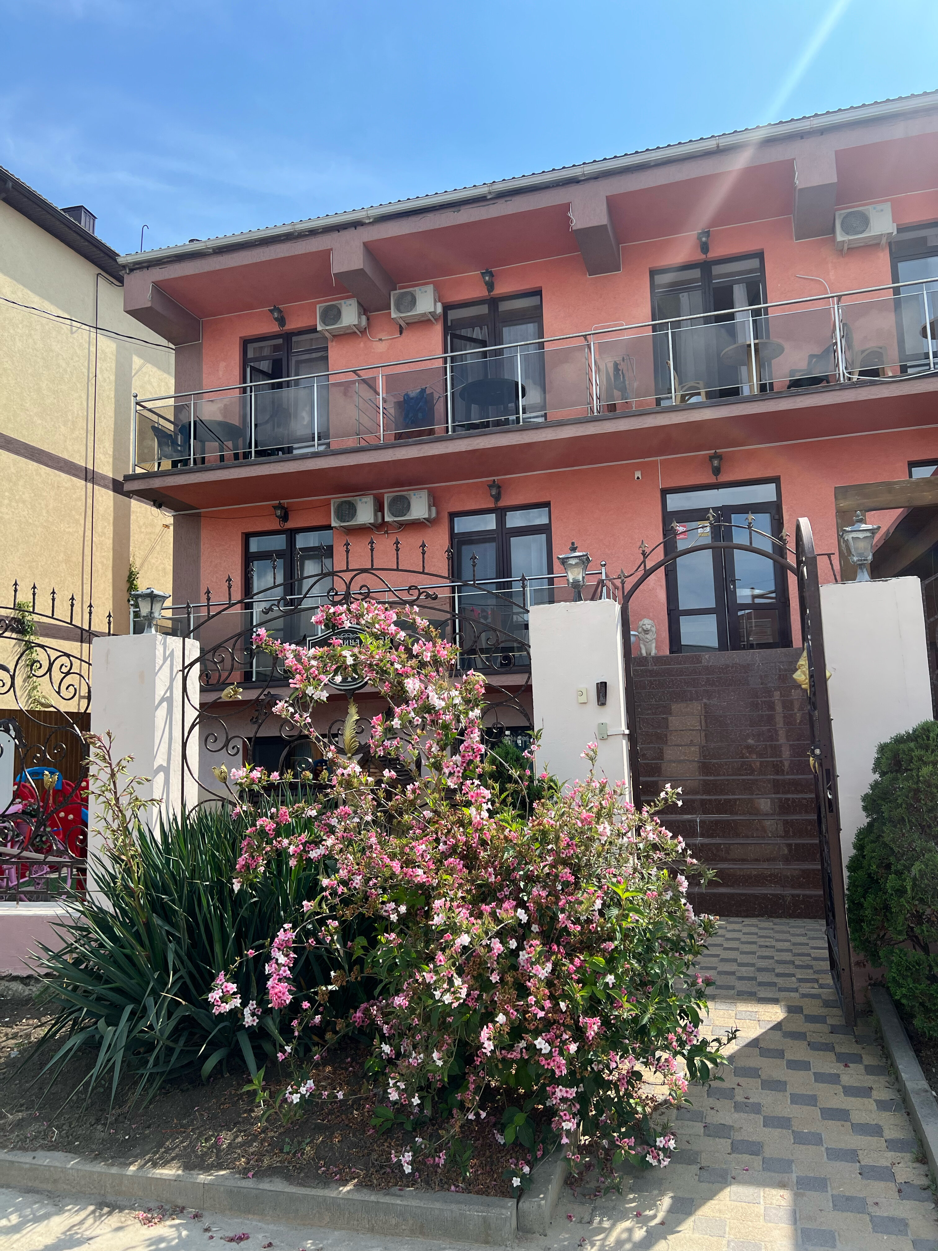 Фото Камела