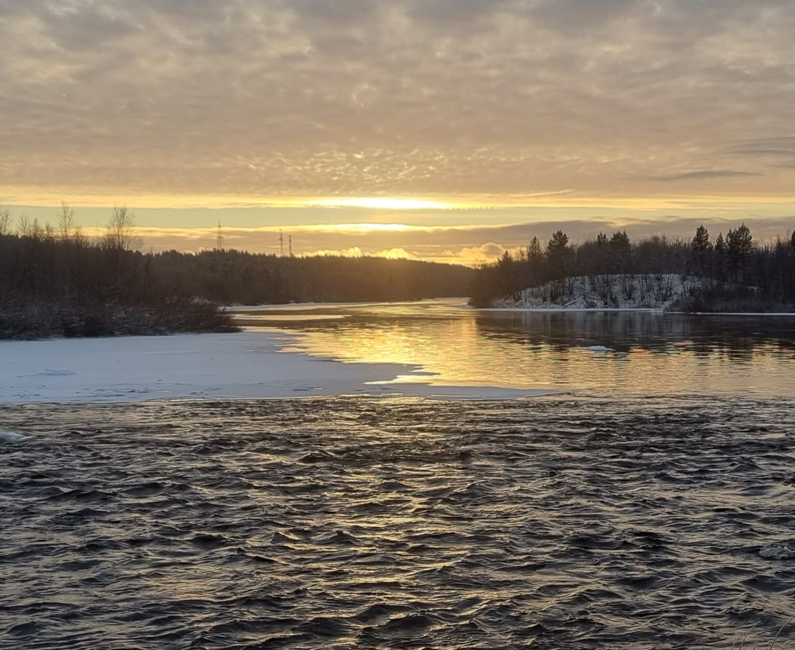 Фото Forest House 51