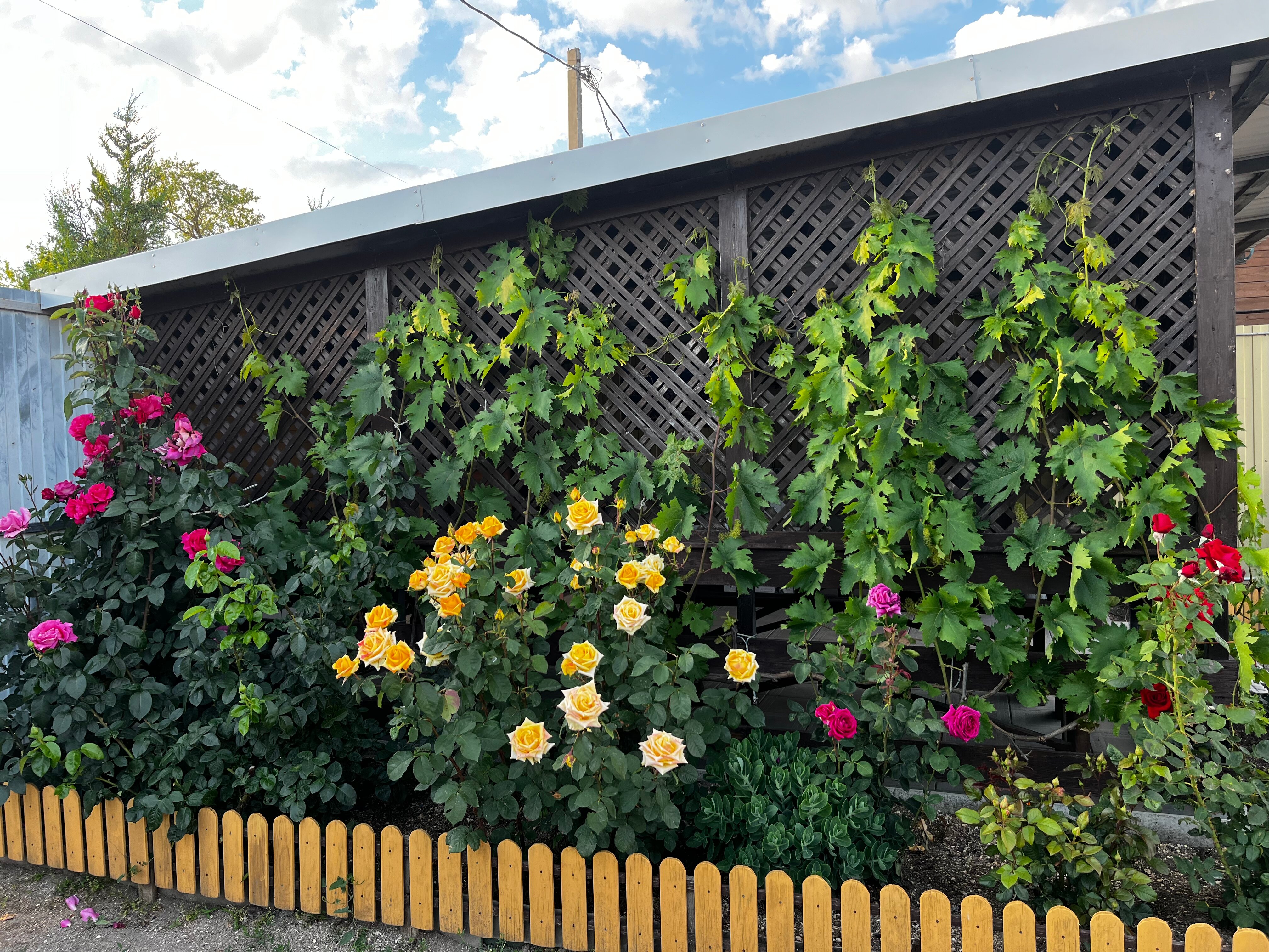 Фото Песчаный Берег