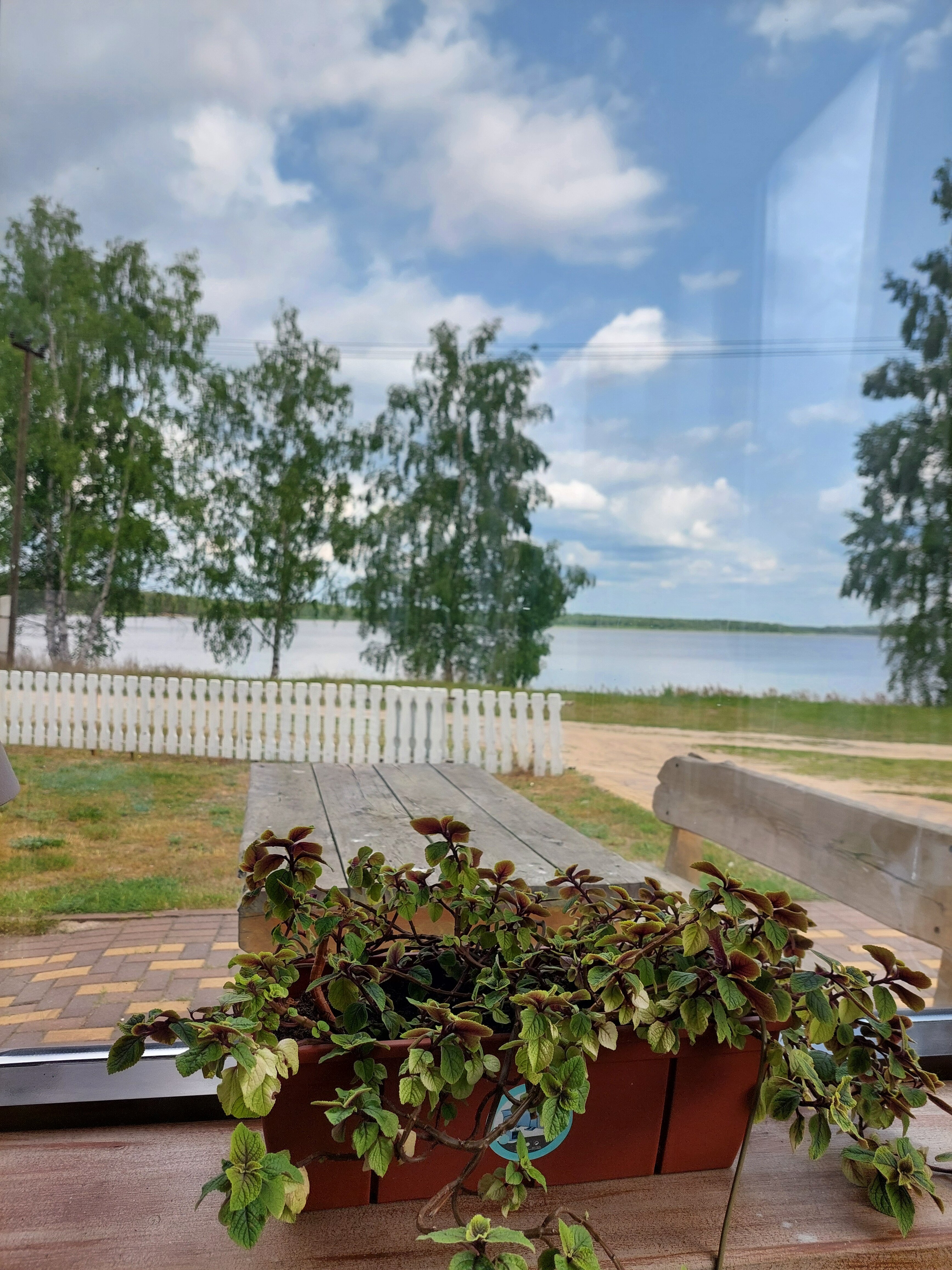 Фото Паруса