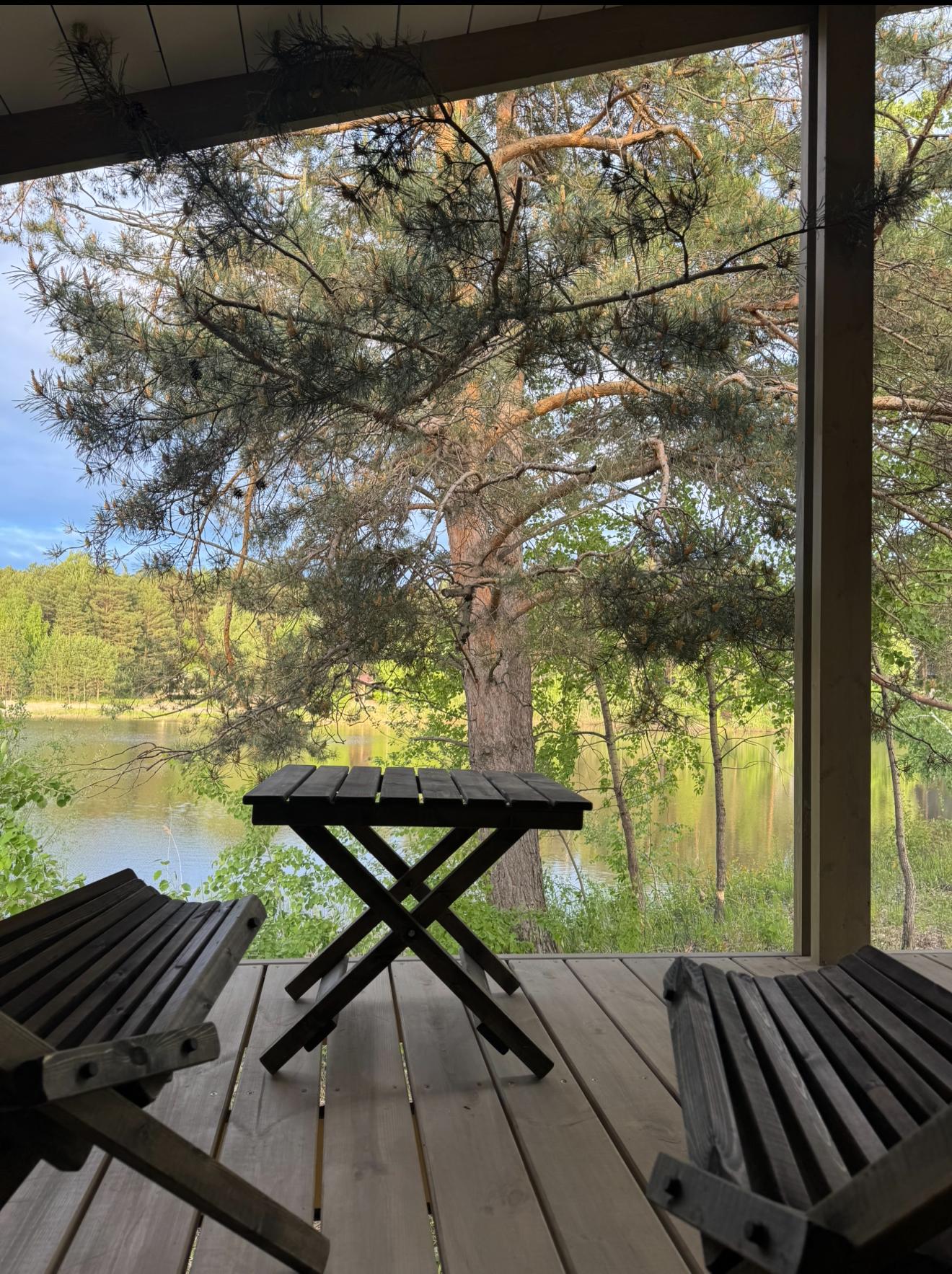 Фото Wood Wood Wood