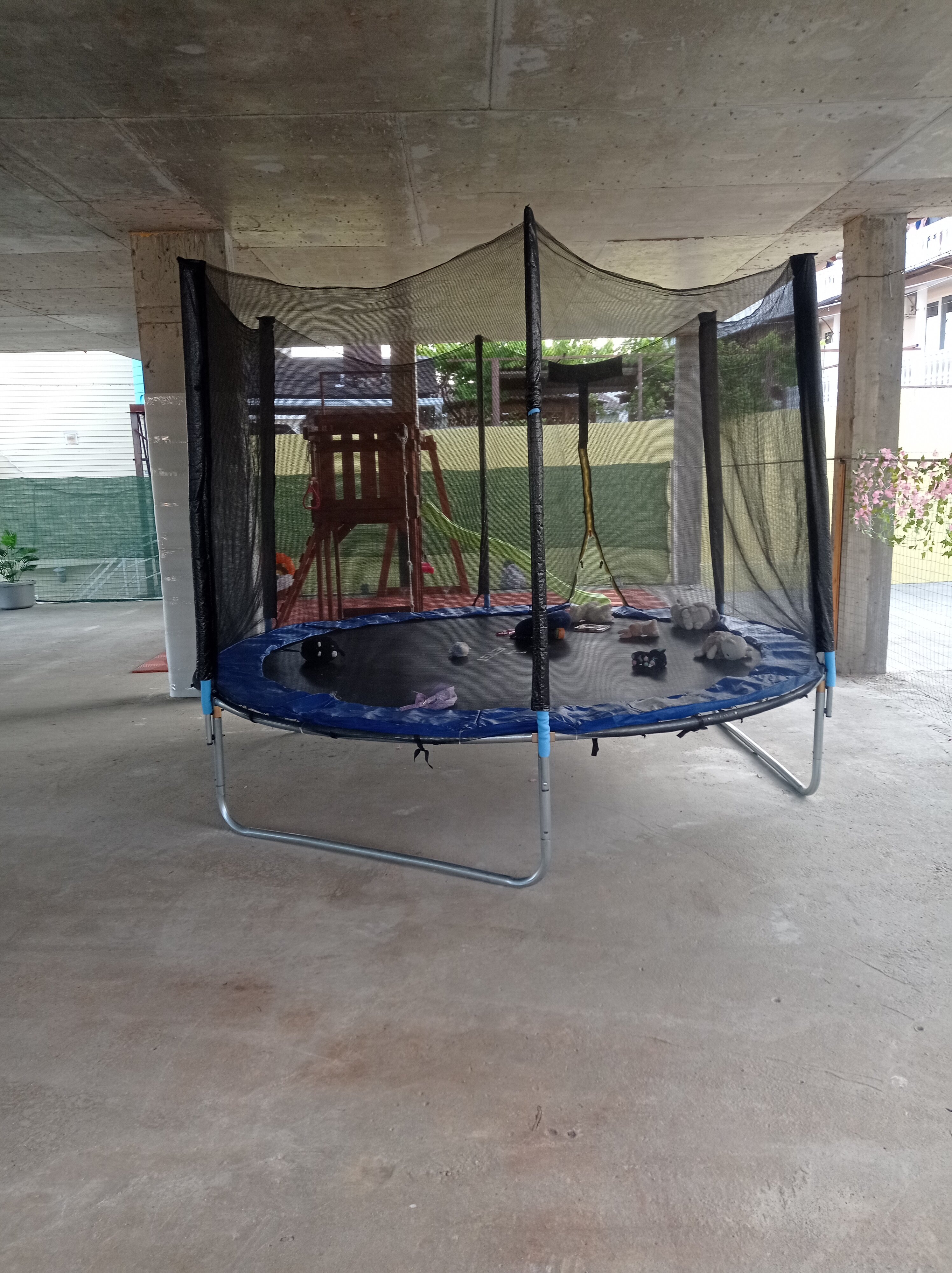 Фото Встреча