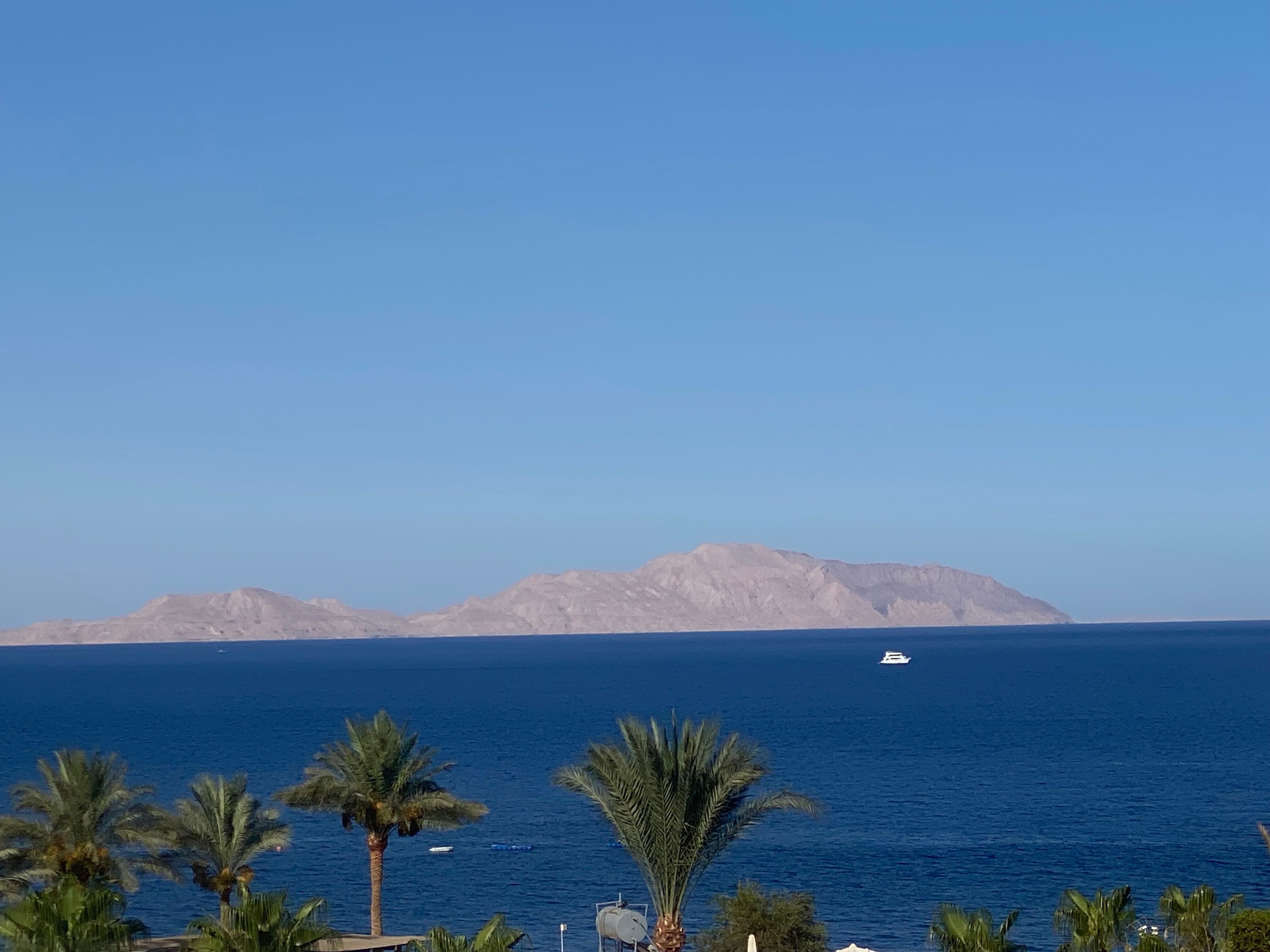 Фото Club Reef Resort