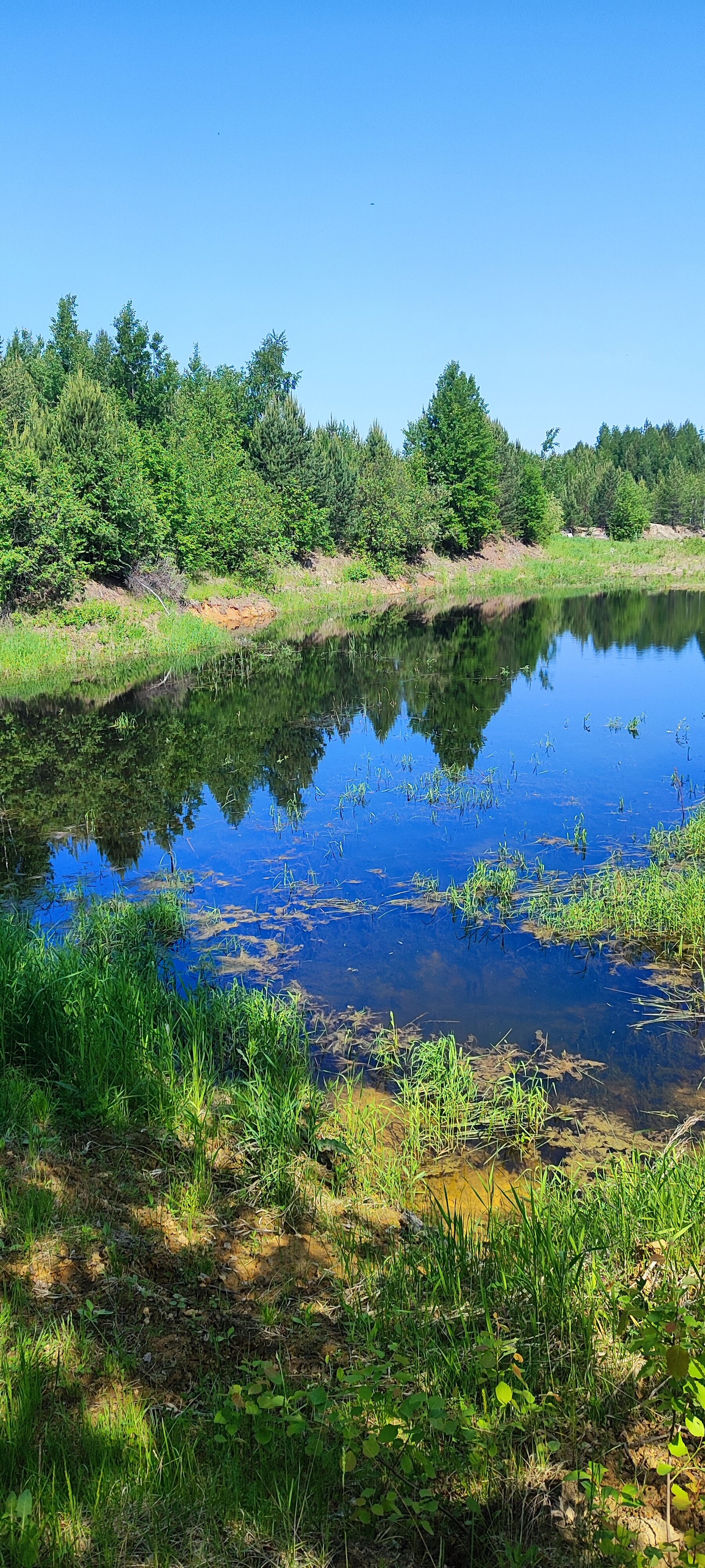 Фото Крутой