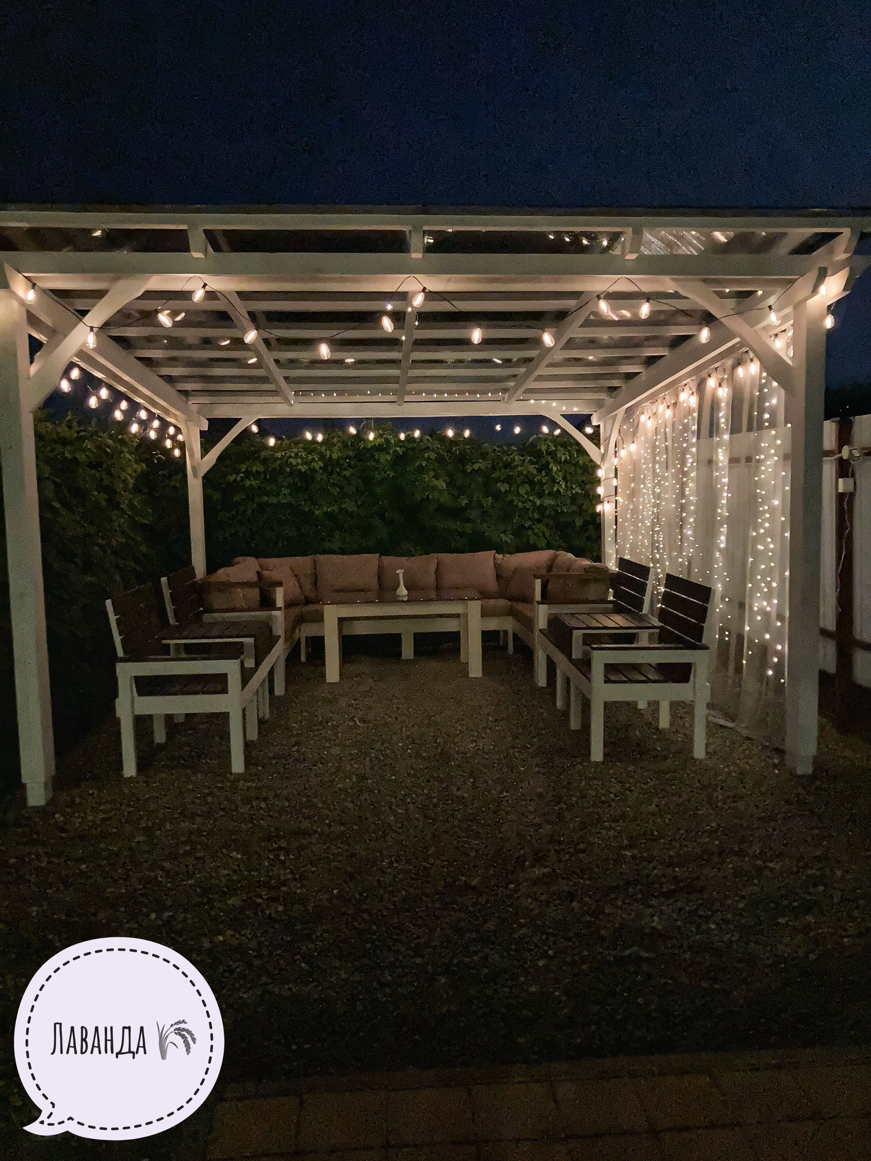 Фото Лаванда