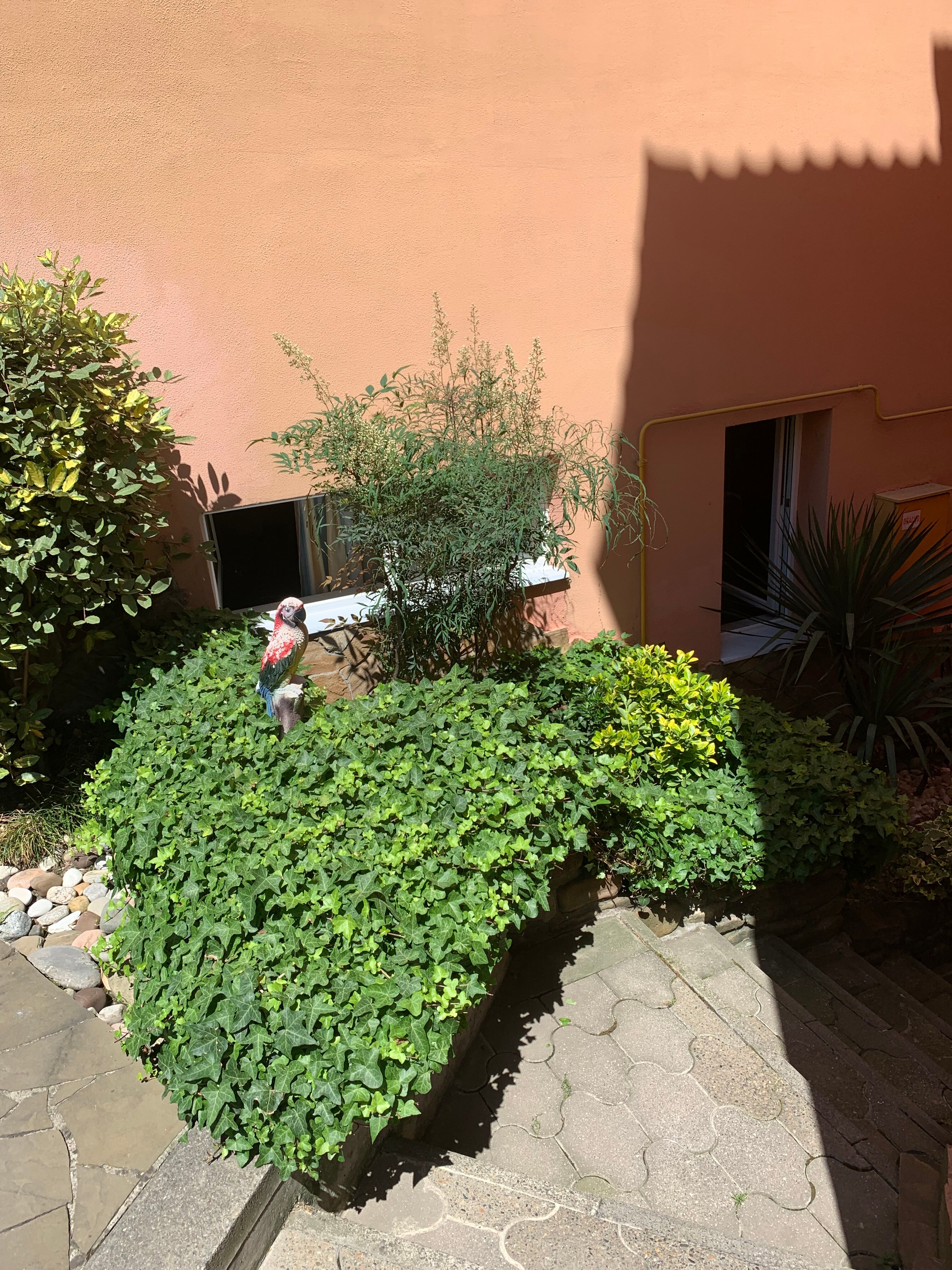 Фото Бамбуковый рай