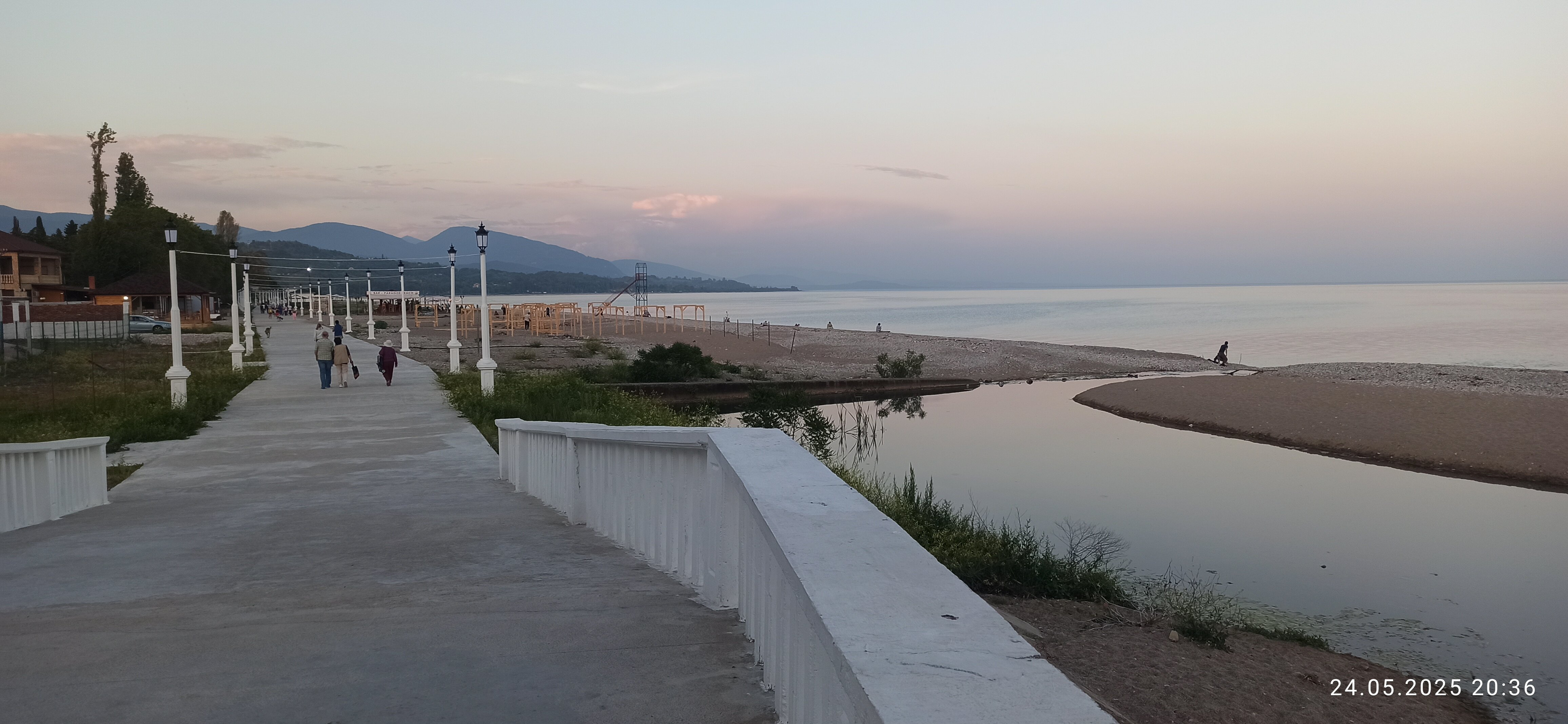 Фото Камелия