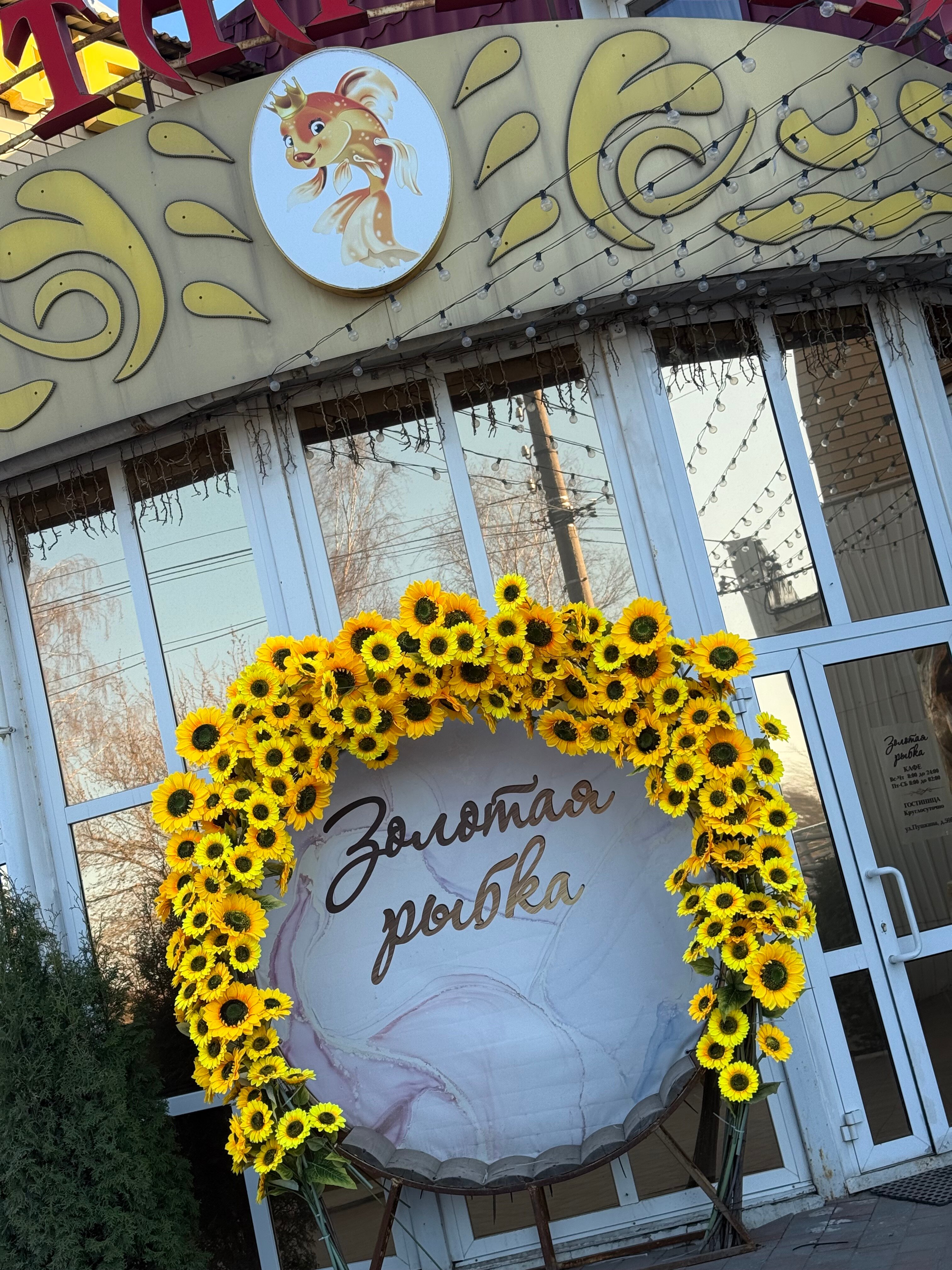 Фото Золотая рыбка