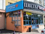 RemSmart (Skobelevskaya Street, 19), phone repair