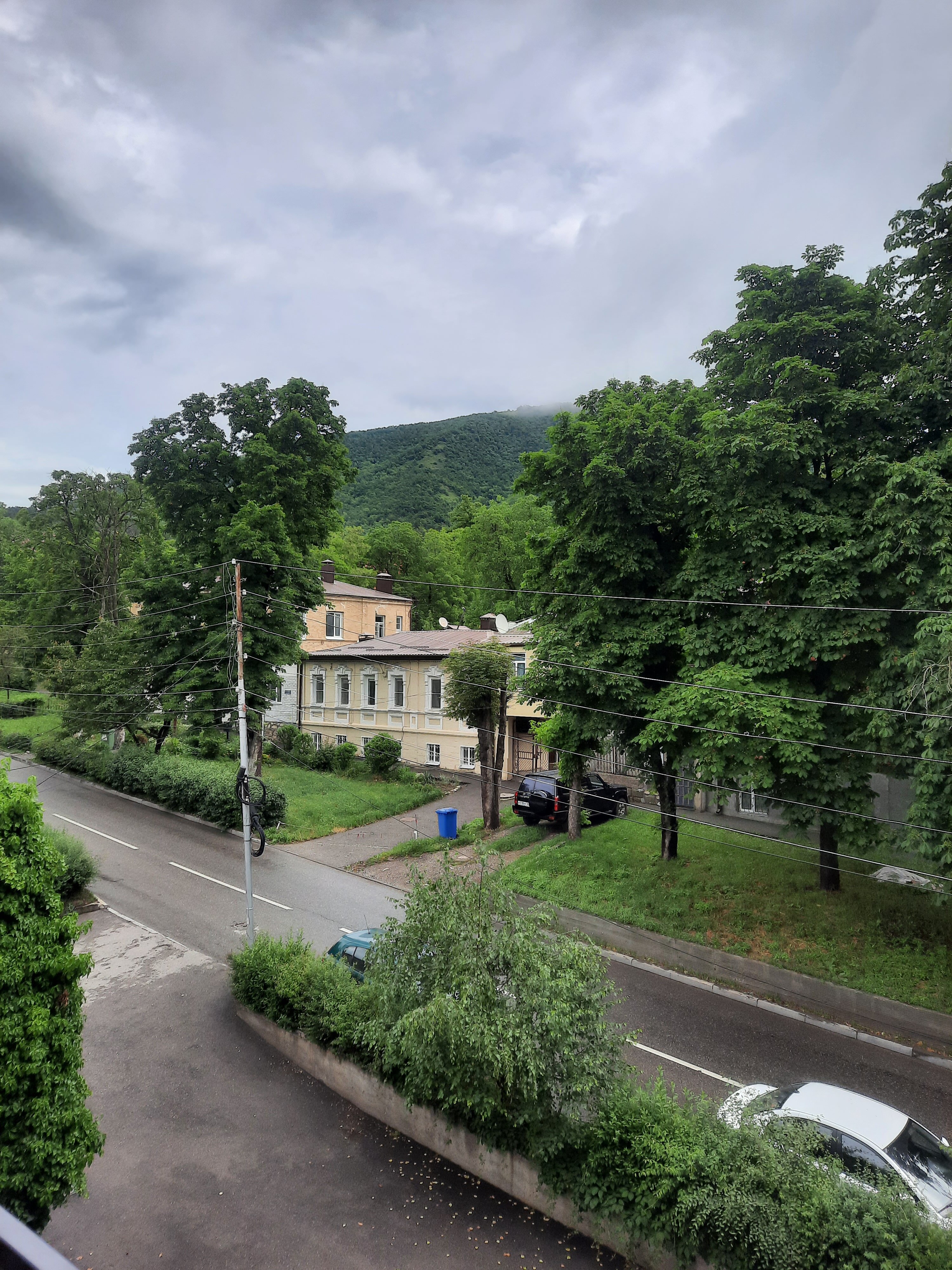 Фото Лакколит 993