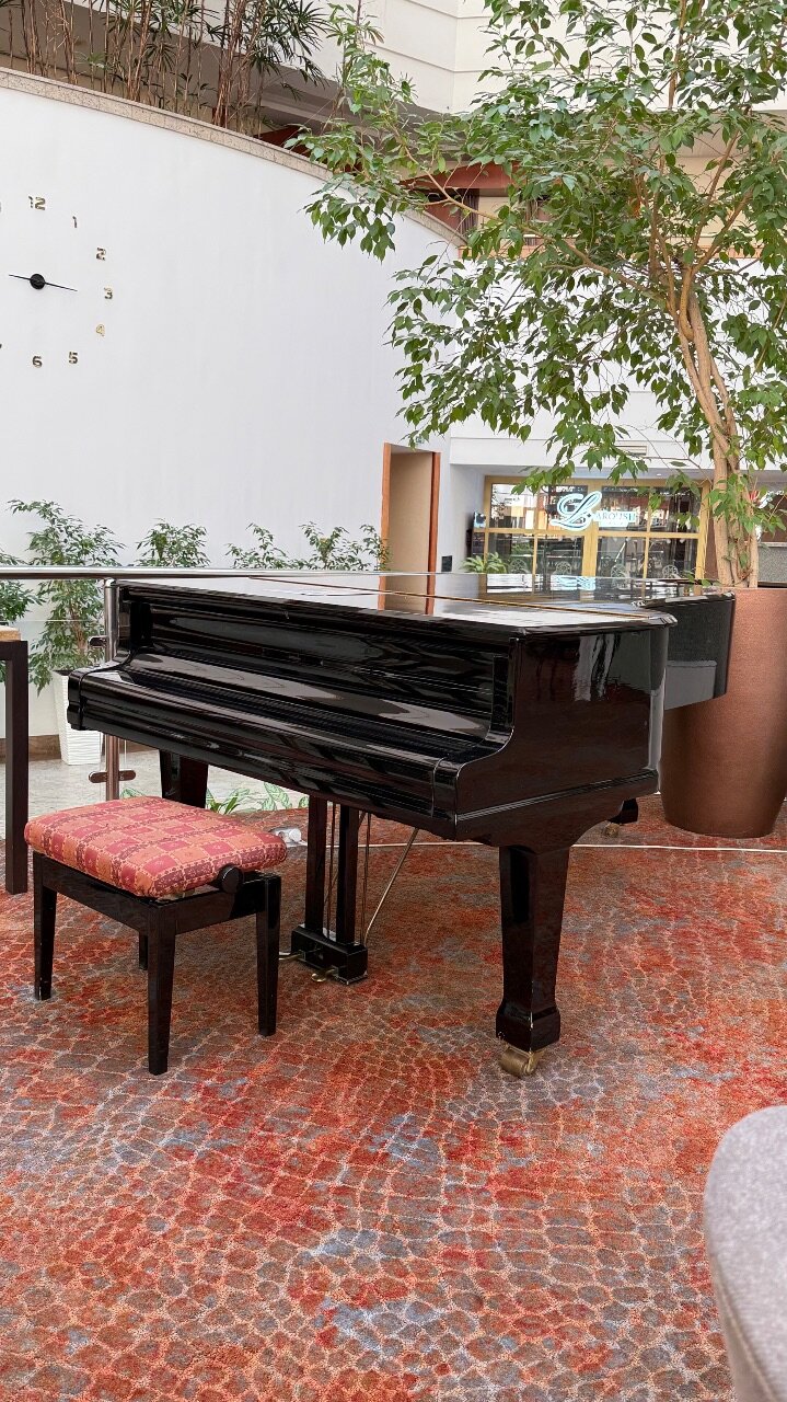 Фото Rahat Palace Hotel