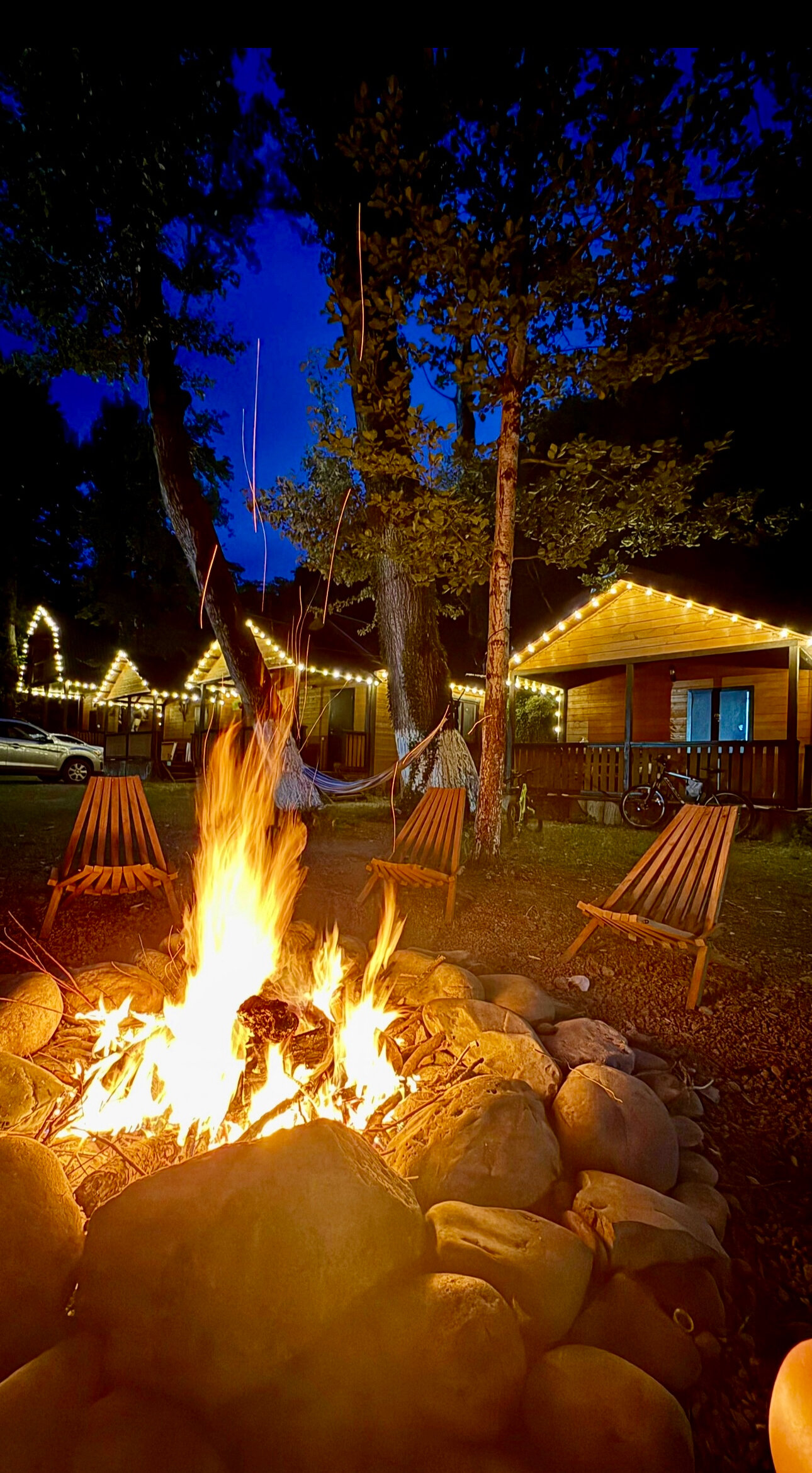 Фото Кактус Арт