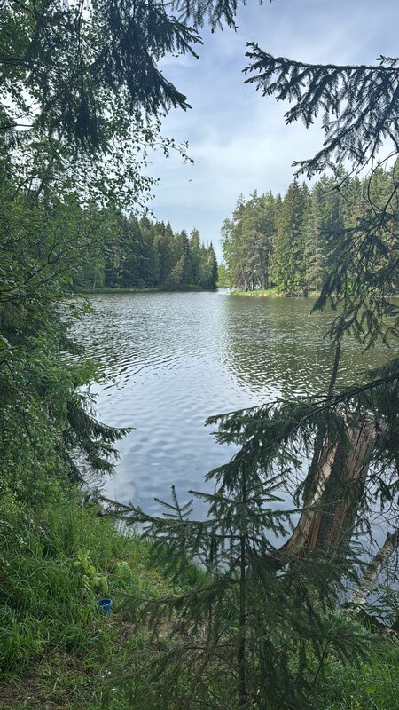 Вилла Отель Прованс — фото 28