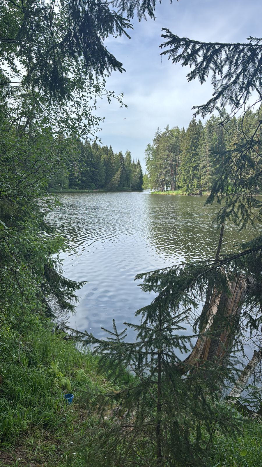 Фото Вилла Отель Прованс