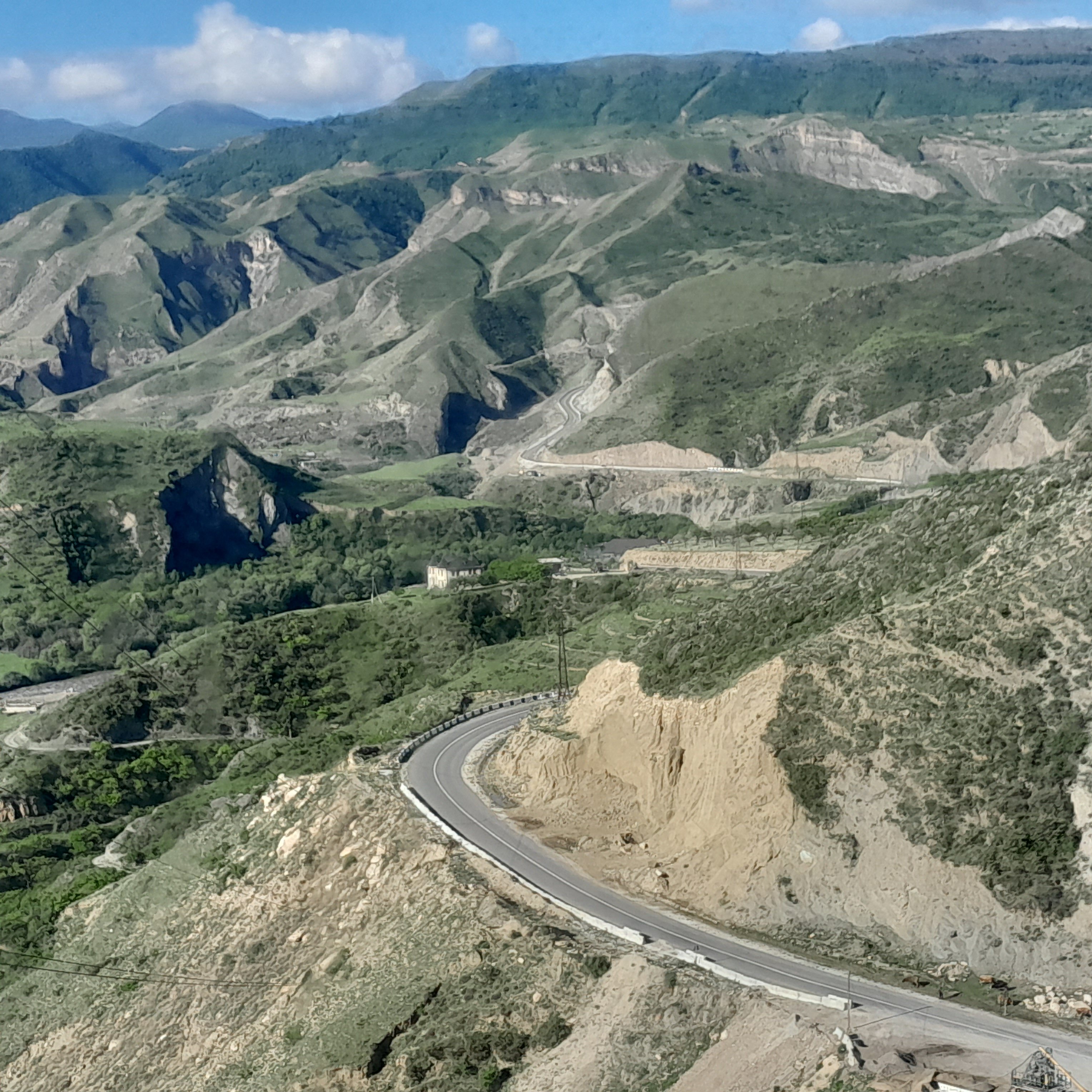 Фото Пение птиц