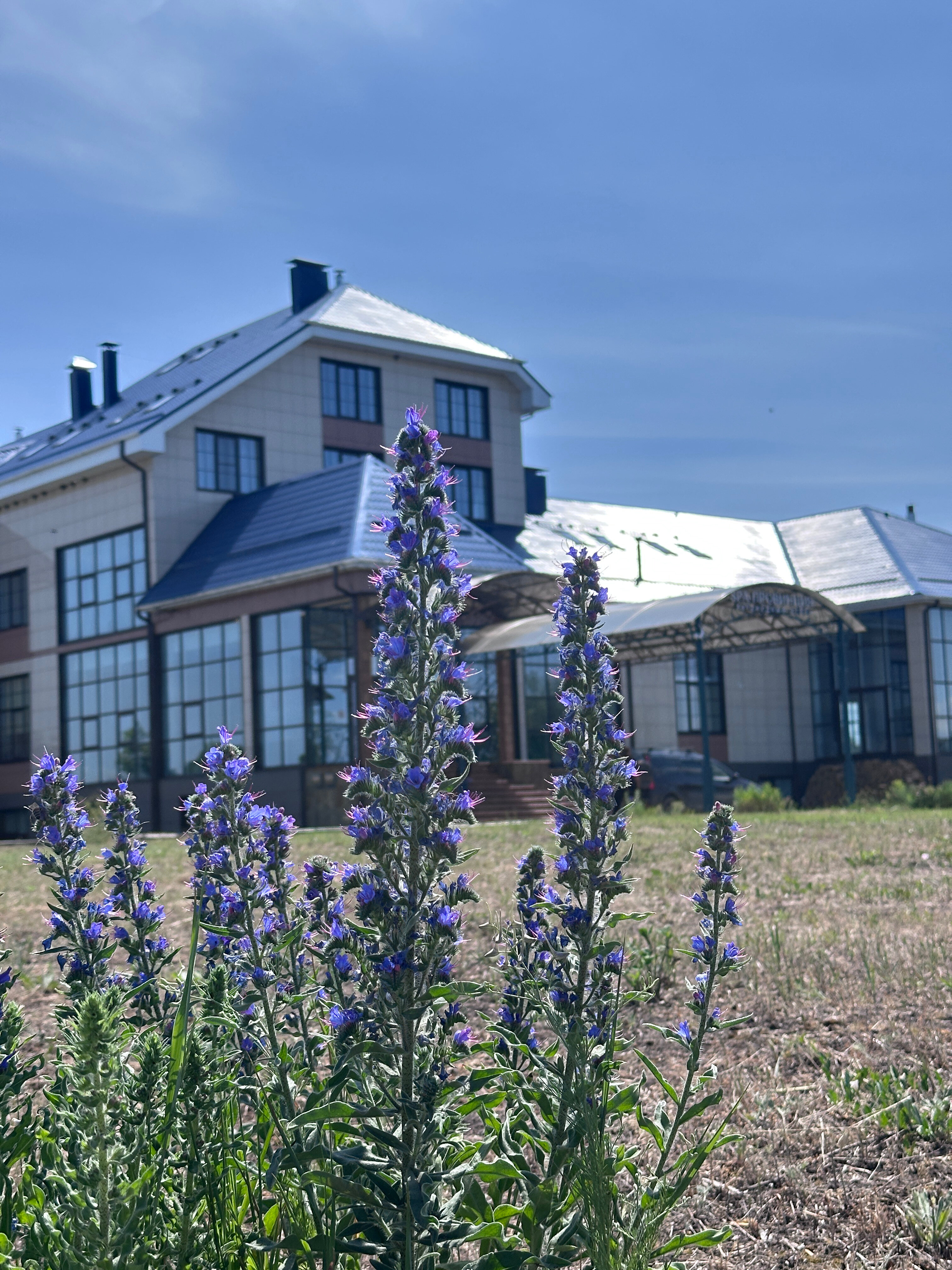 Фото СПА Провинция