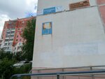 Fishka (Pobedy Avenue, 295А), internet marketing
