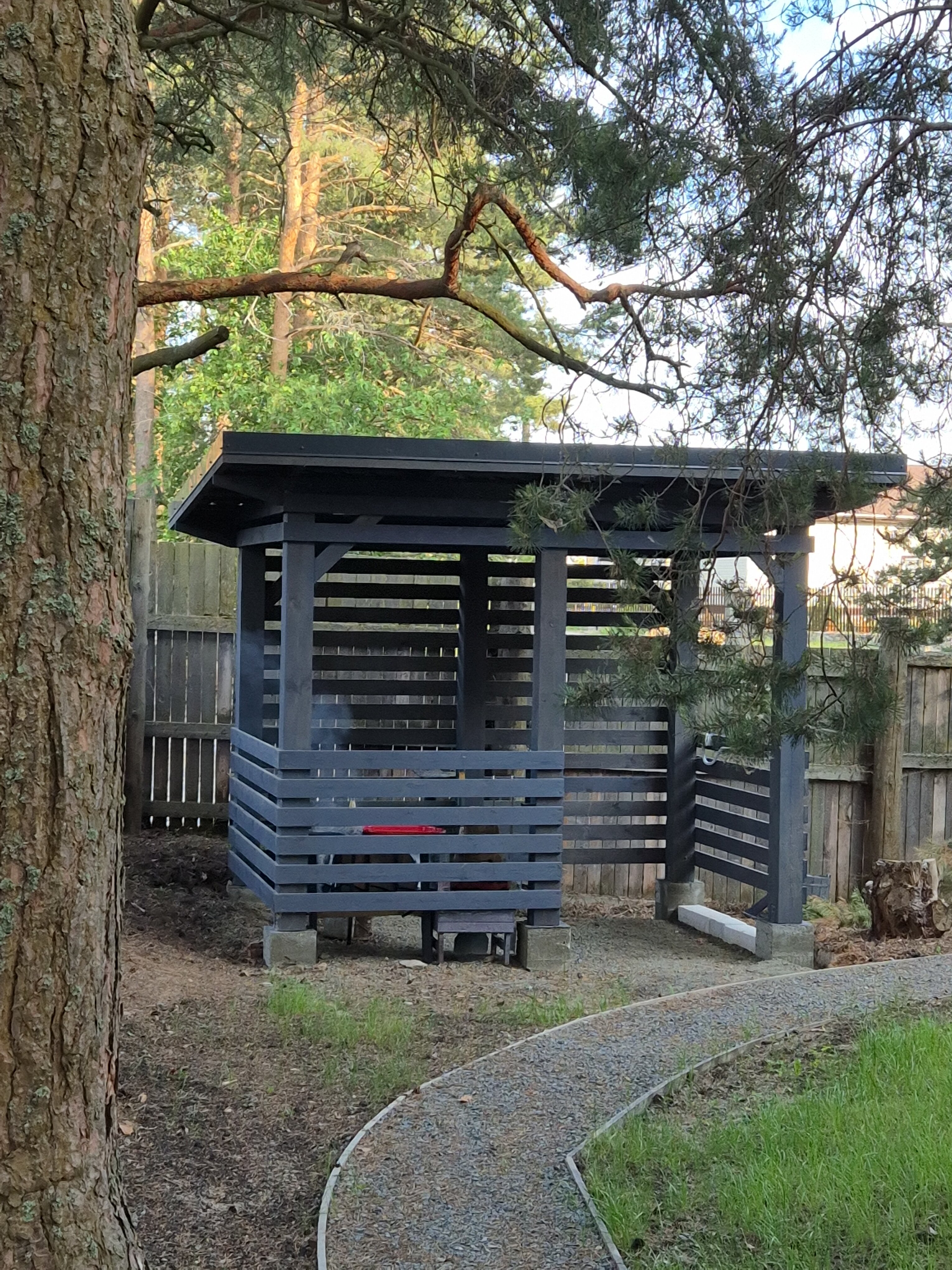 Фото Хвойная Гармония