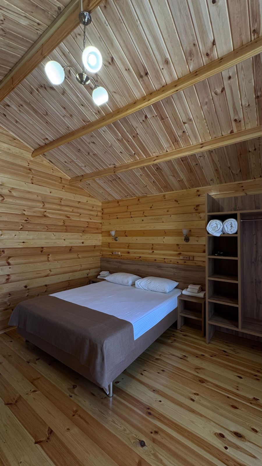 Фото Малина