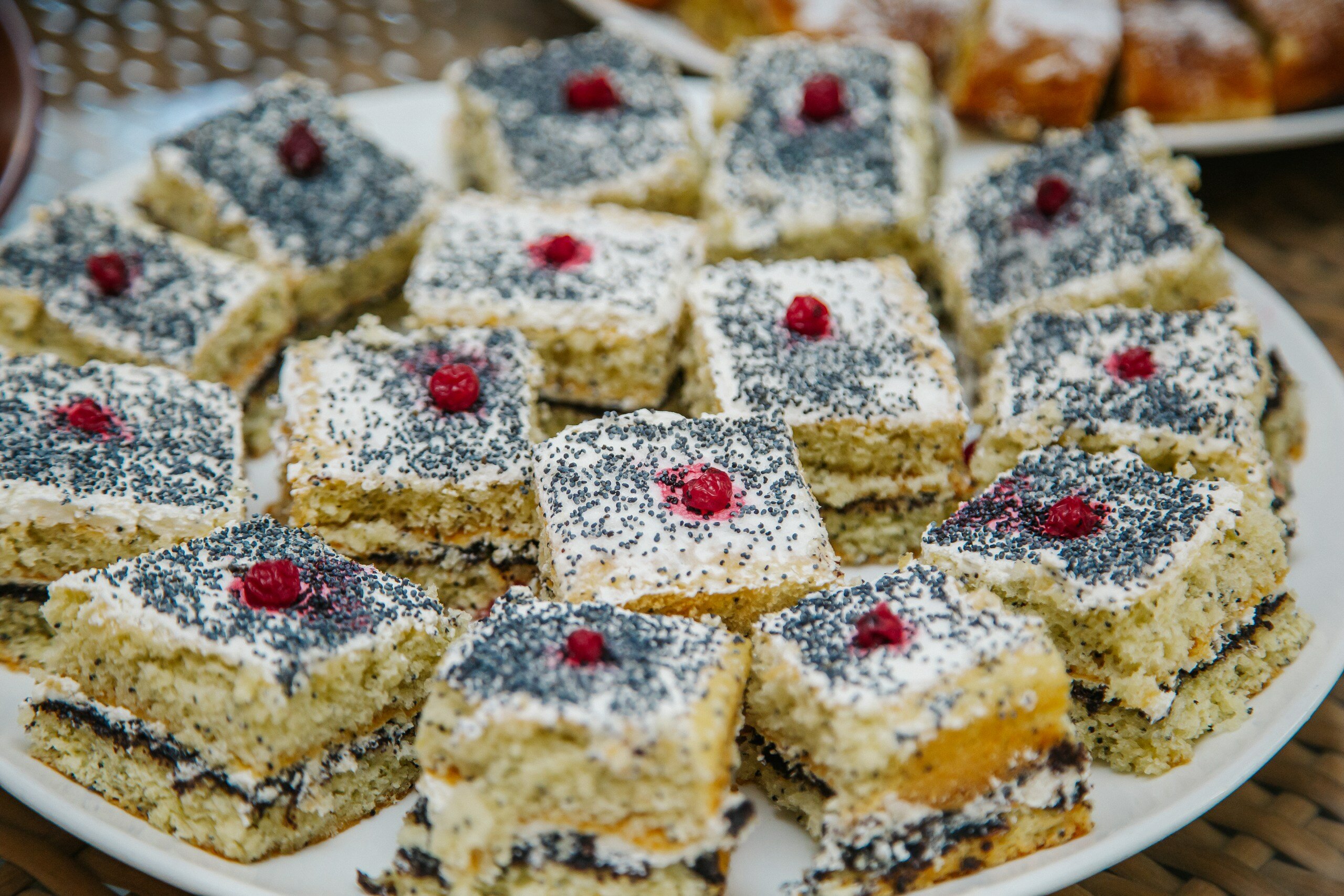 Фото Капкана Бэй-Плаза