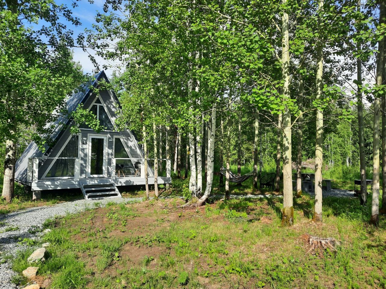 Фото Свобода леса