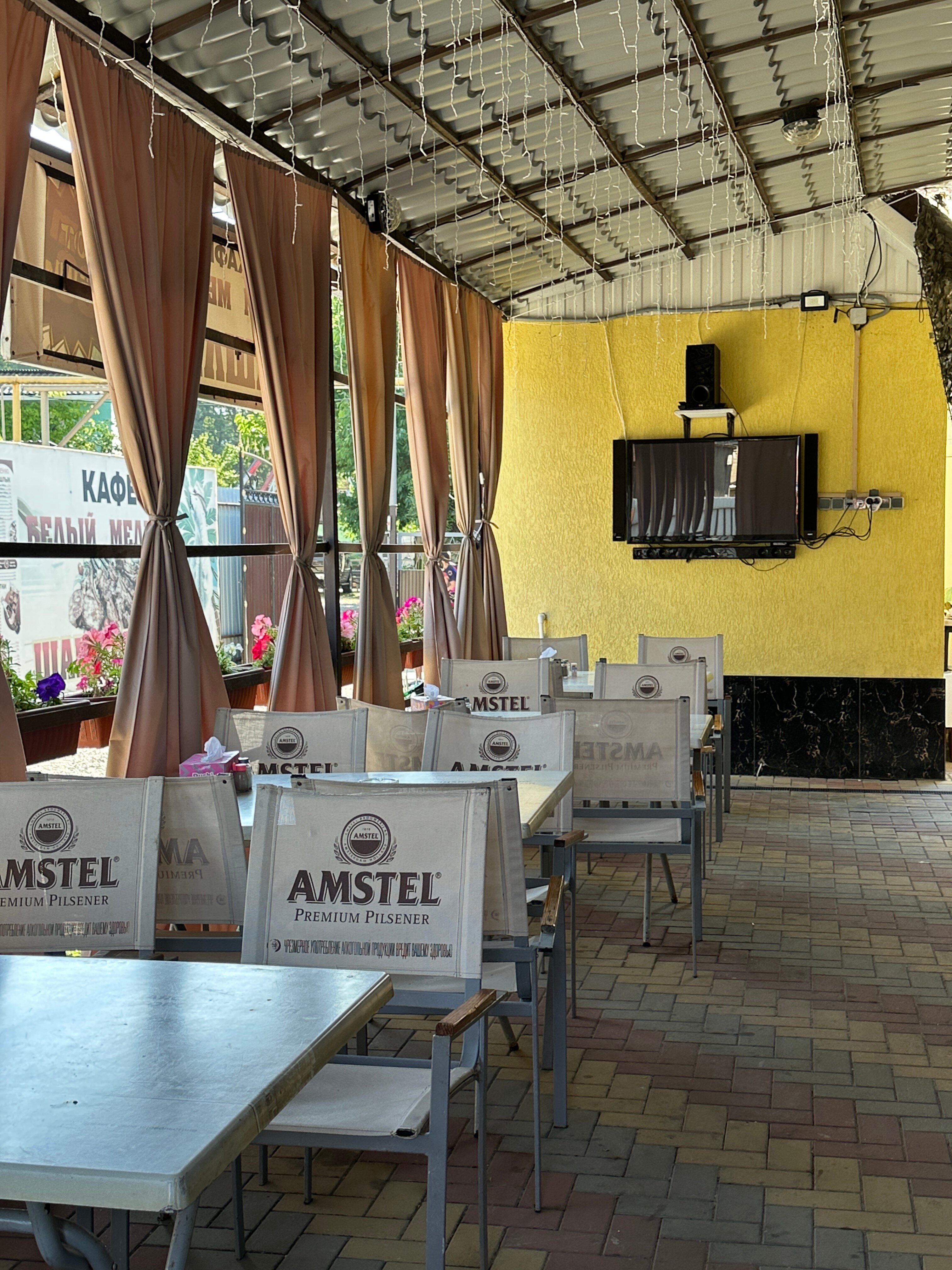 Фото Белый медведь