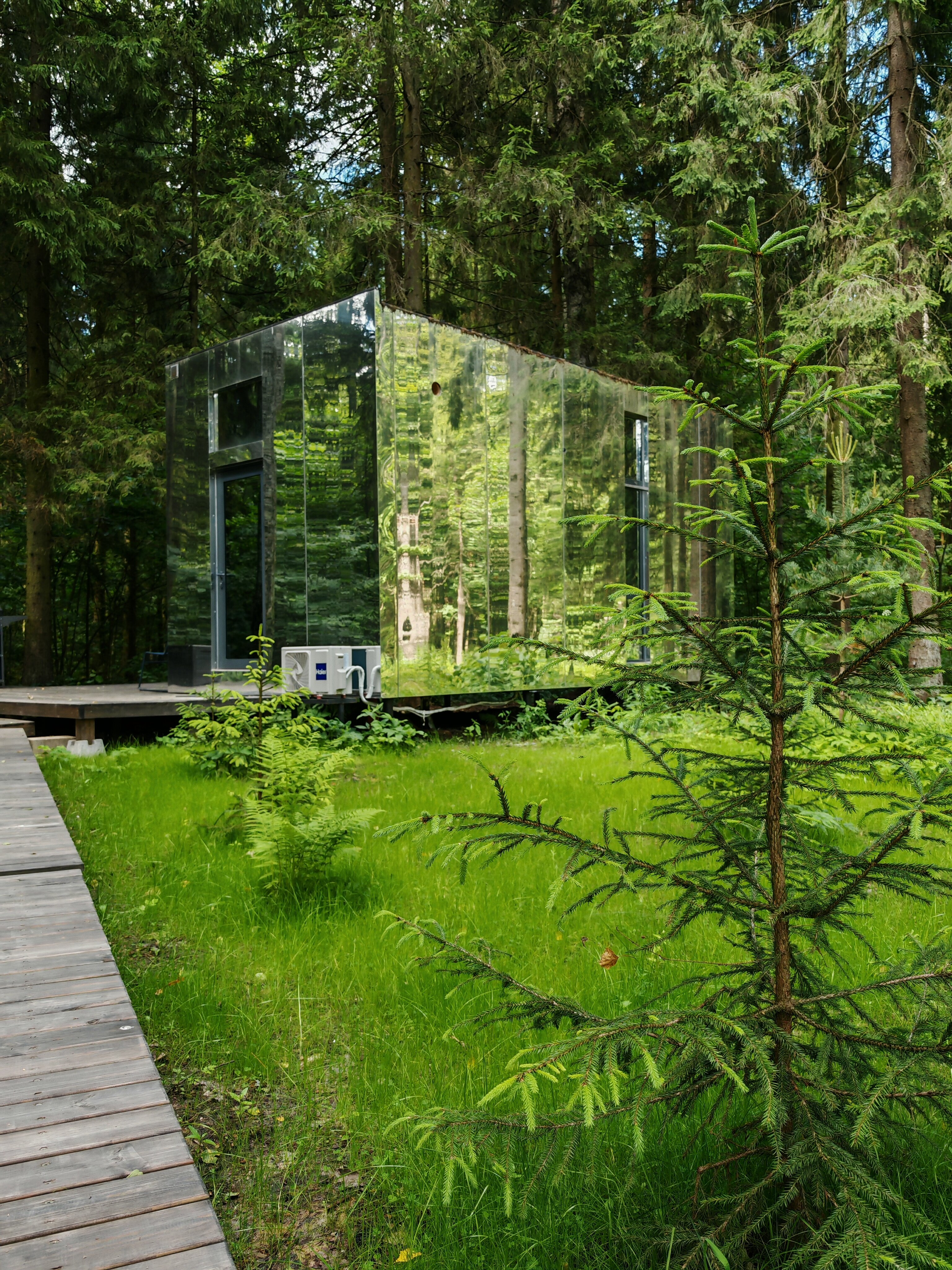 Фото Озеро белых лилий