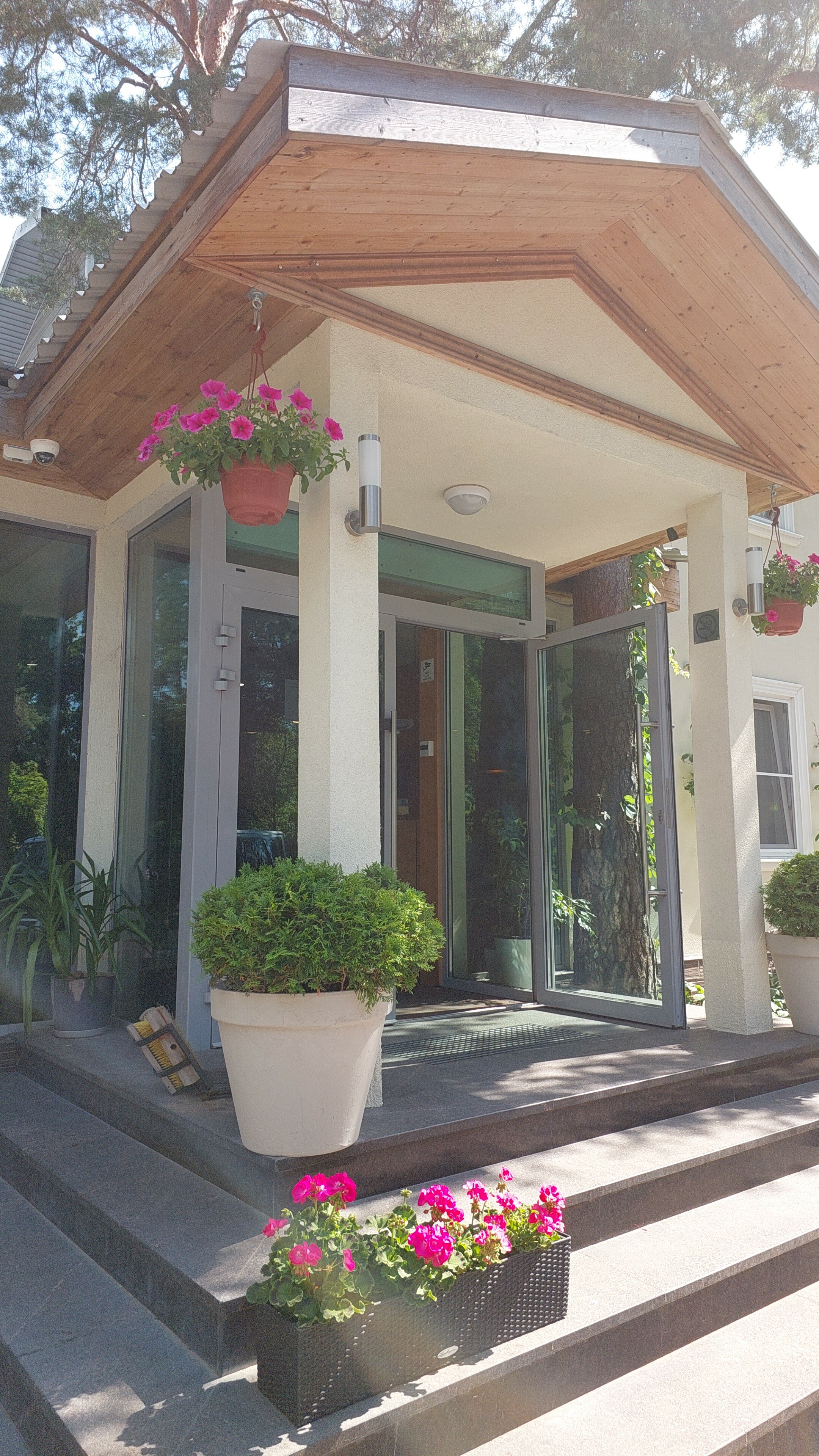 Фото Черничный Берег