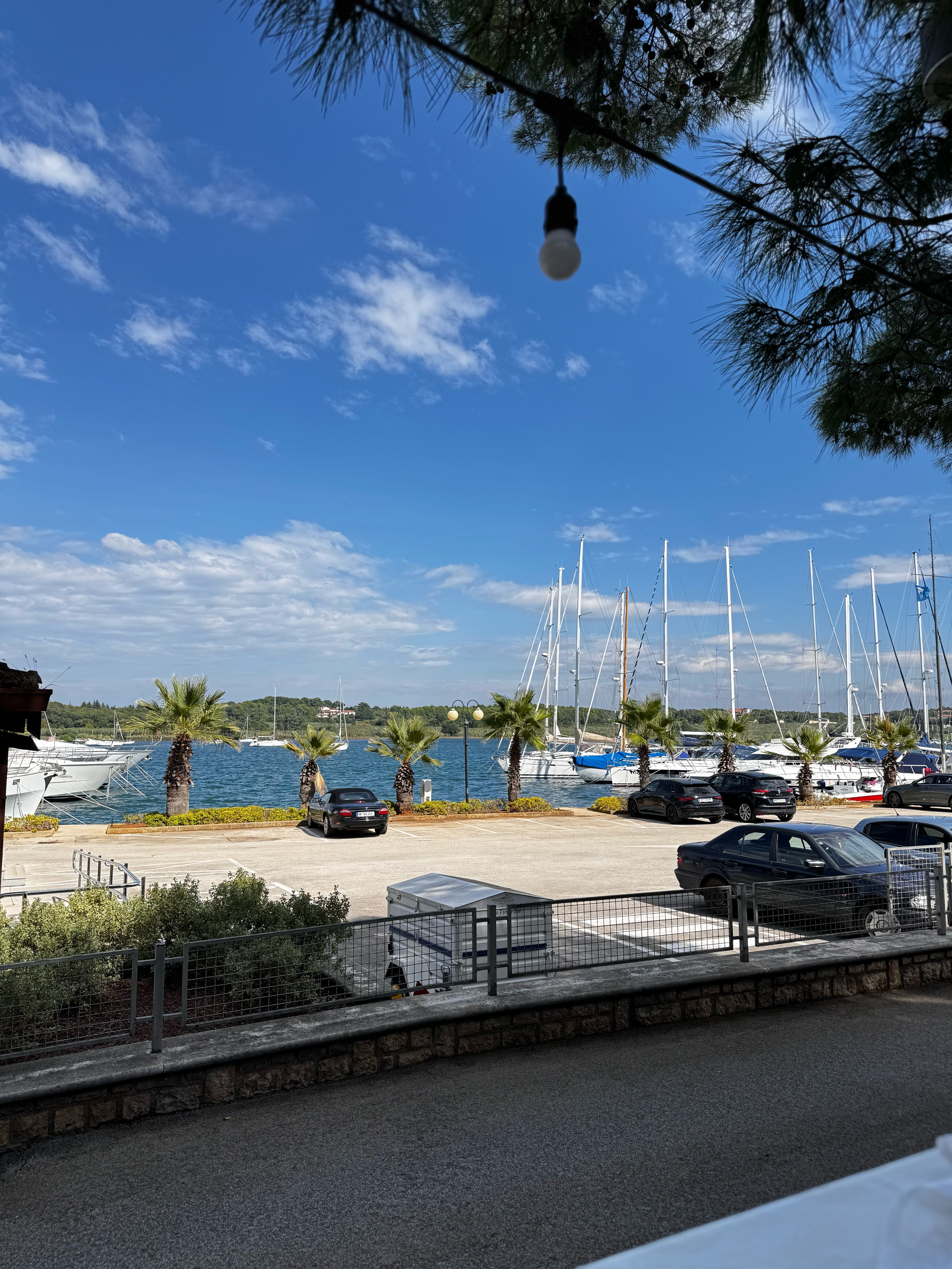 Фото Hotel Parentium Plava Laguna