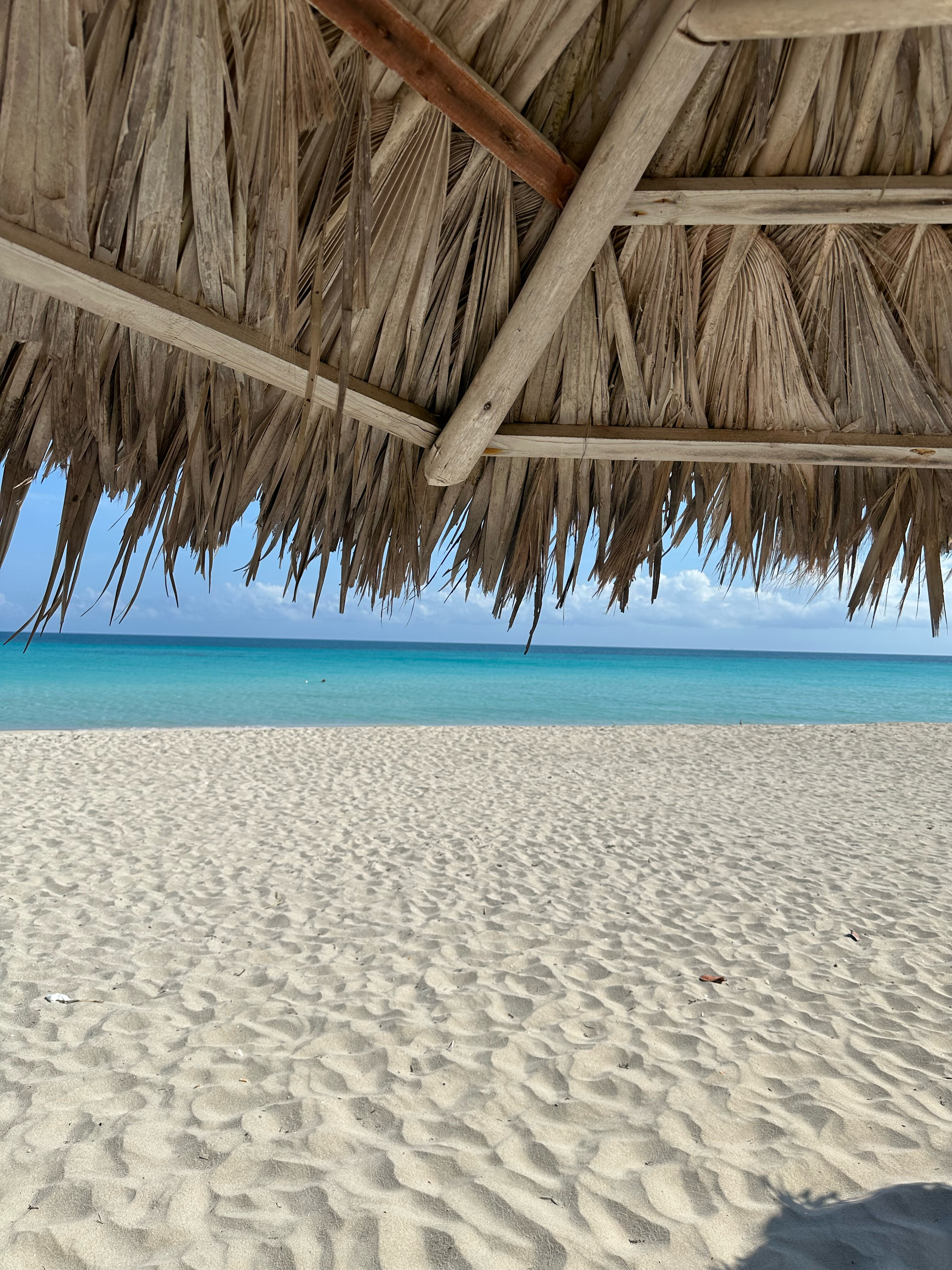 Фото Hotel Playa Vista Azul