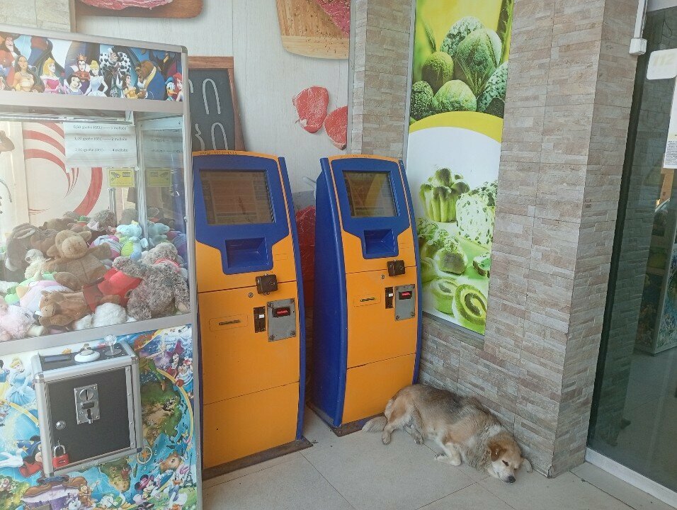 Payment terminal Paybox, Batumi, photo