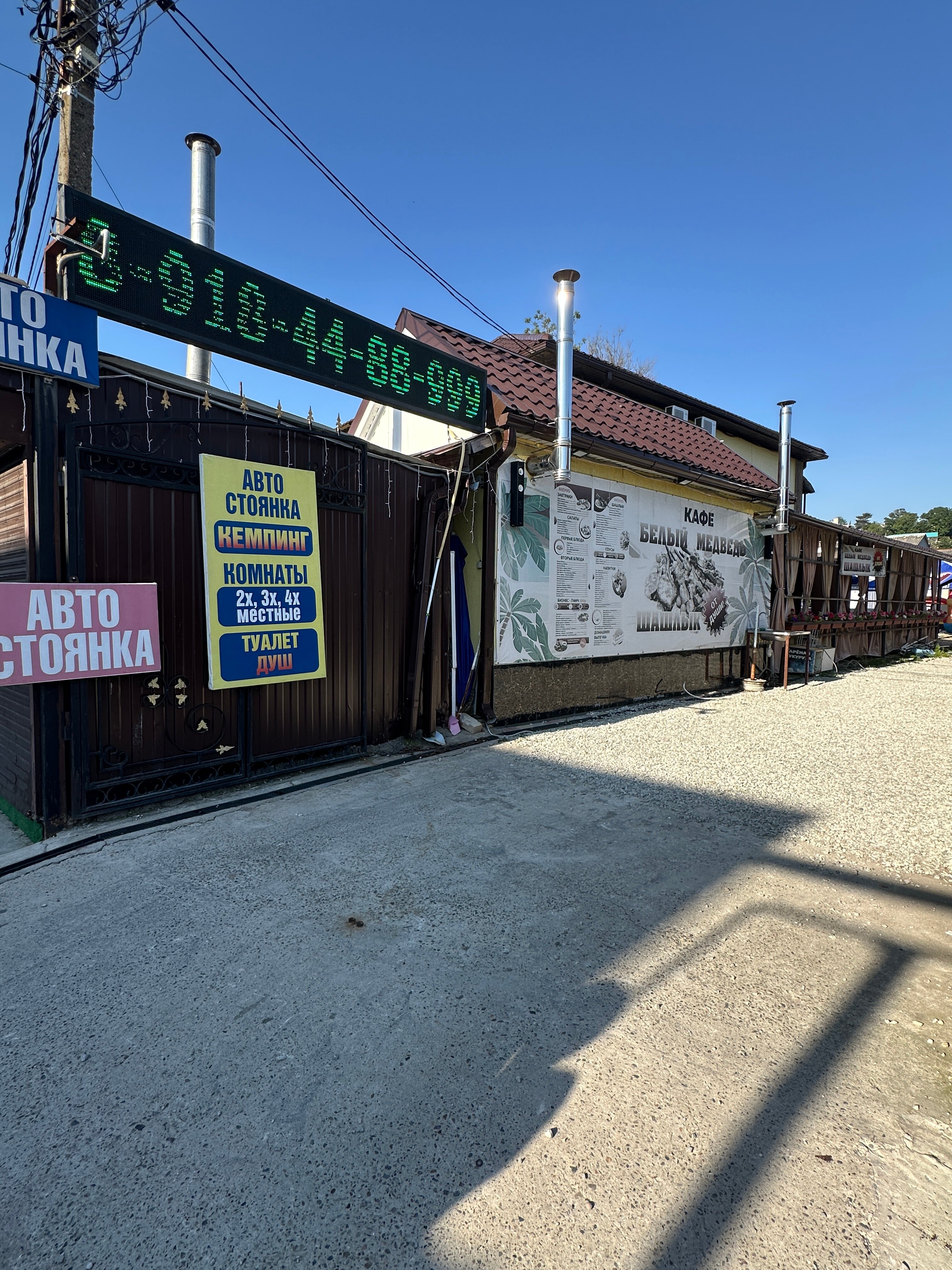 Фото Белый медведь