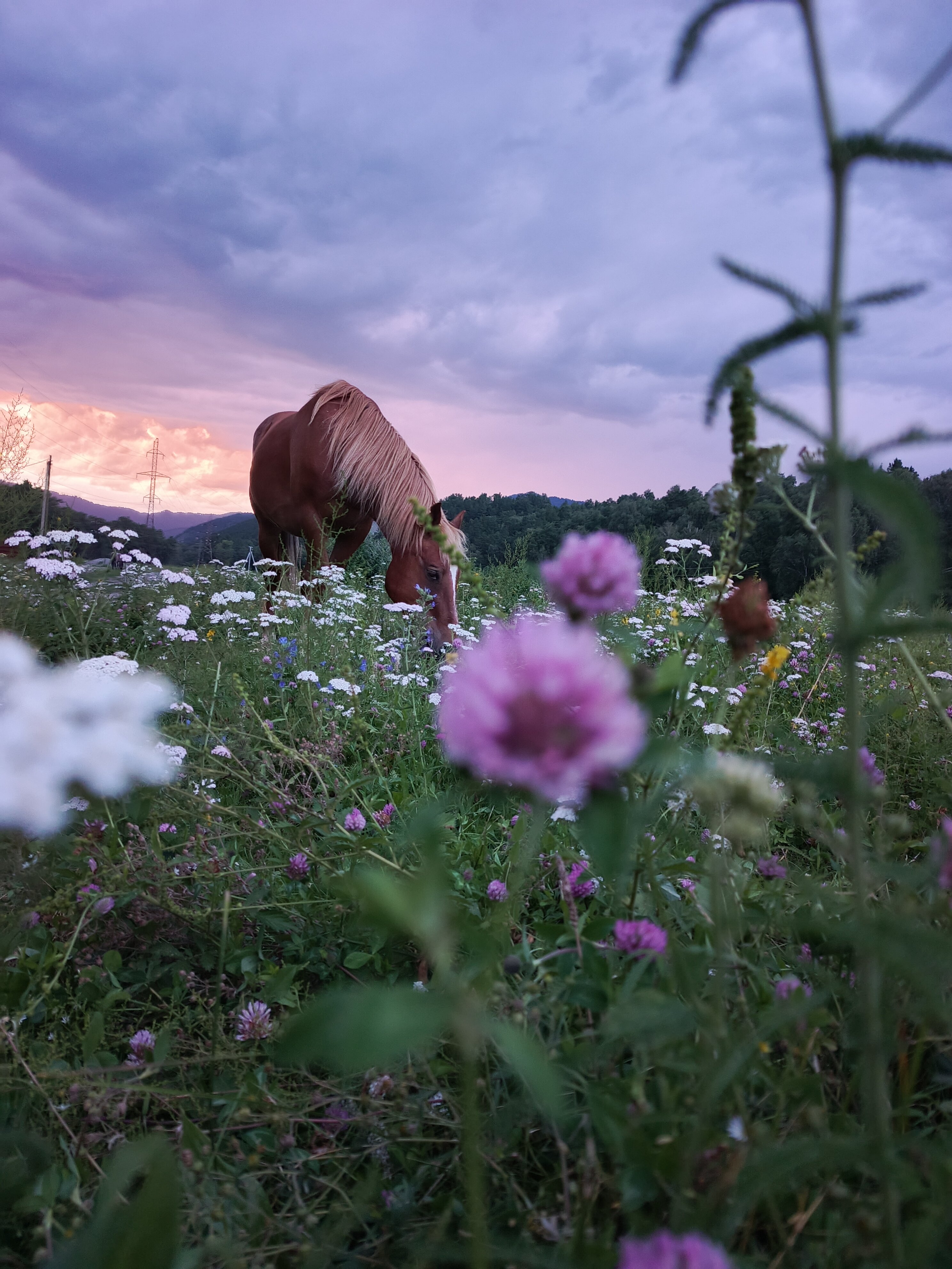 Фото Зеленые холмы