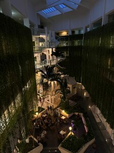 Гостиница Occidental Arenas Blancas by Barcelo