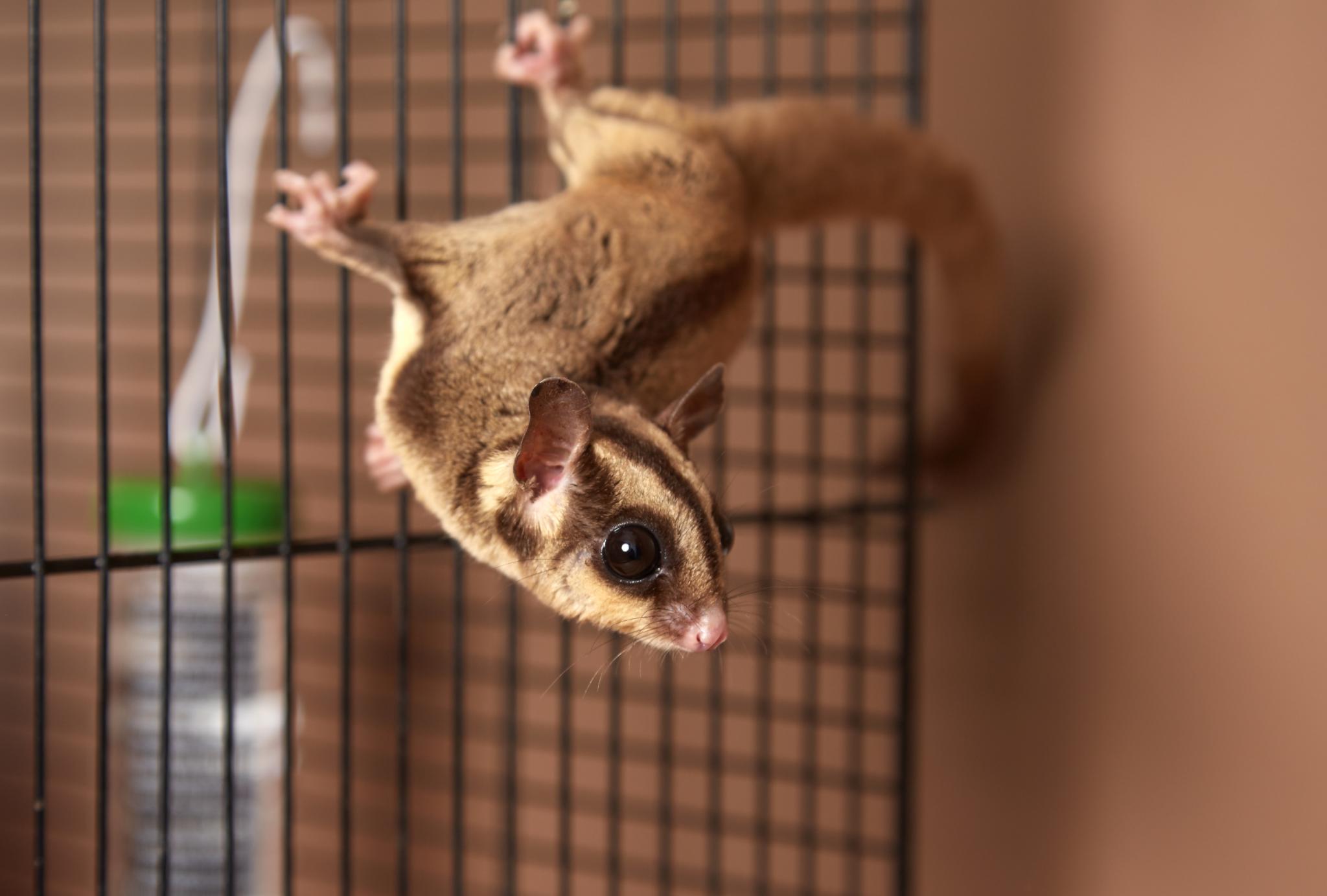 Фото Twin Cities Melbourne