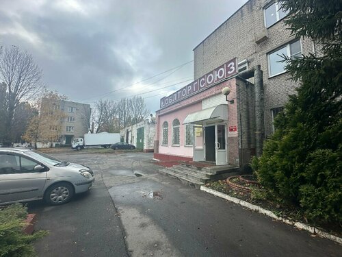 Evcil hayvanlar için ürünler Pes Kokos, Gomel, foto