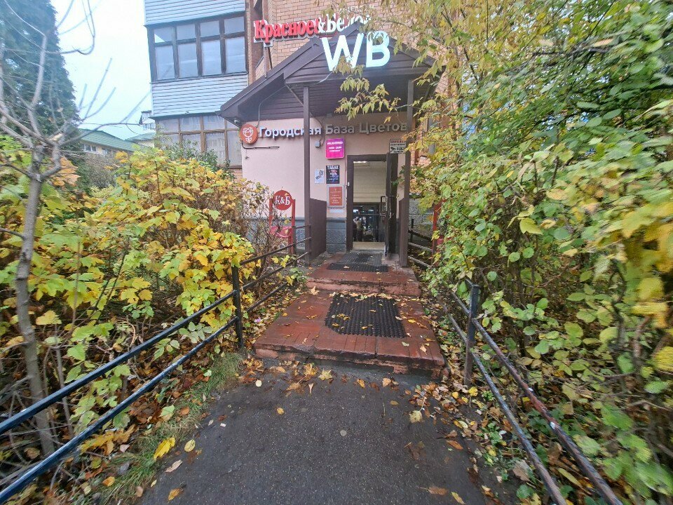 Visa support SoyuzConsalting, Korolev, photo