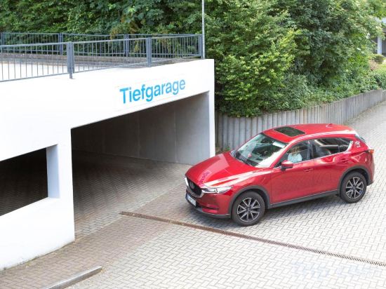 Фото Michel Hotel Frankfurt Maintal