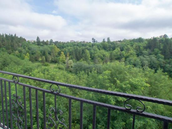 Фото Гостевой дом Bagrat