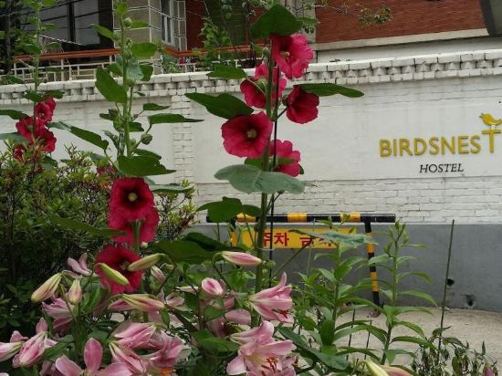 Фото Birdsnest Hostel Hongdae