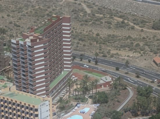 Фото Corona Roja