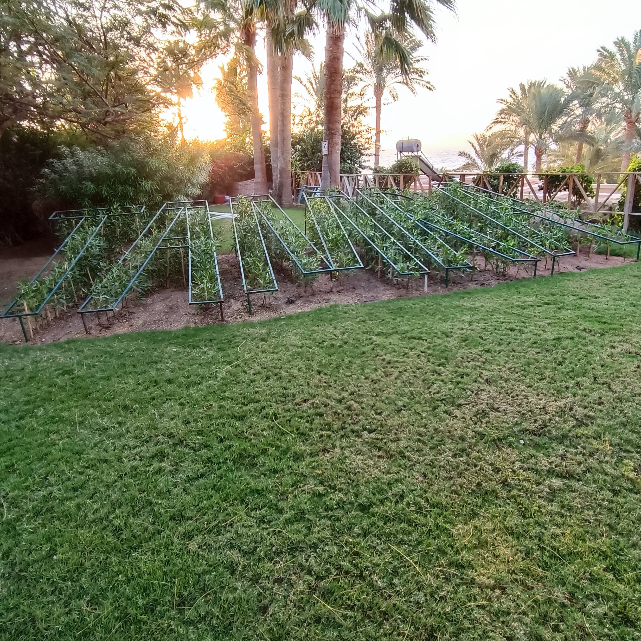 Фото Tamra Beach Resort