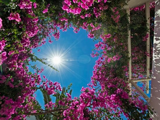 Фото Atlantis Beach Villa