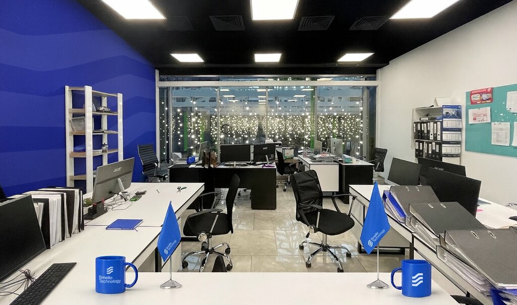 IT company Smello Technology, Moscow, photo