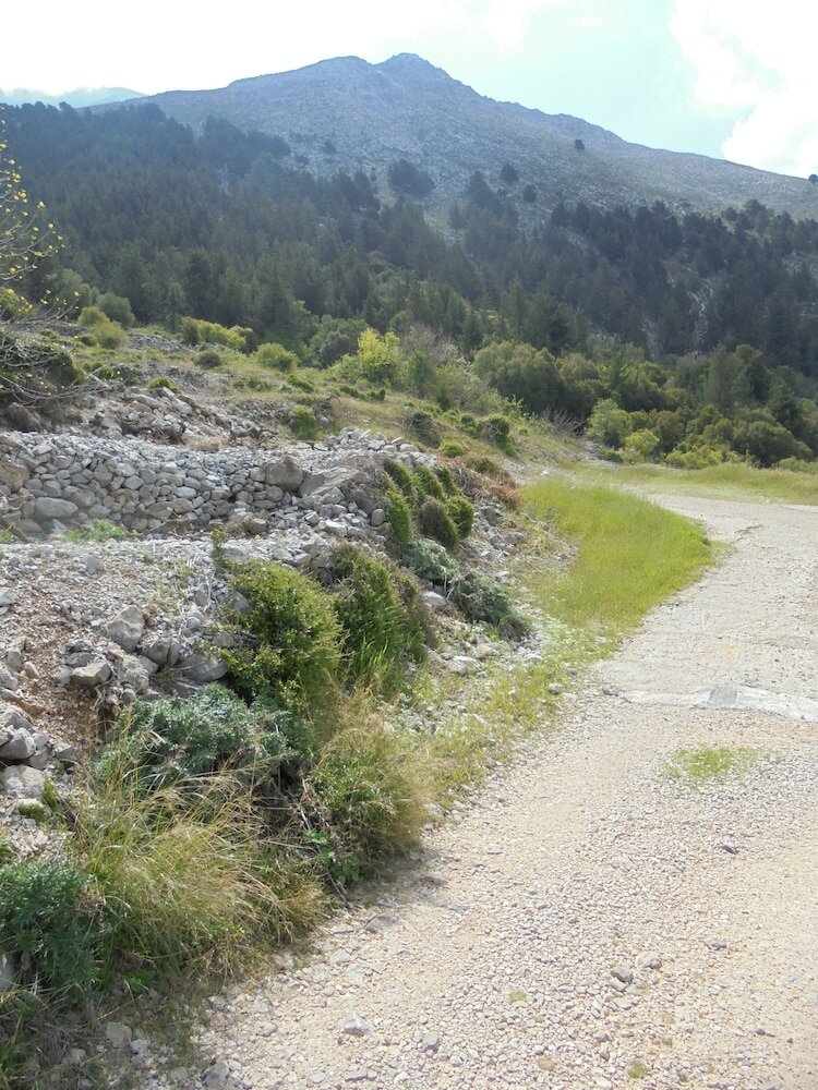 Фото Ataviros Hotel